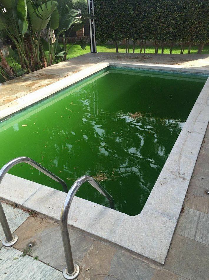 Piscinas : Mantenimiento y limpieza de Lisclean Piscinas : Mantenimiento y limpieza de Lisclean