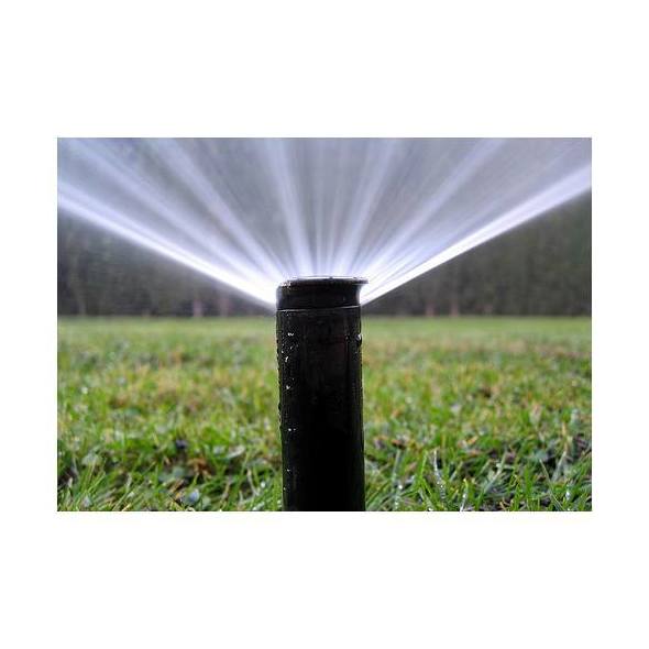 Mantenimiento de jardines: Mantenimiento y limpieza de Lisclean Mantenimiento de jardines: Mantenimiento y limpieza de Lisclean