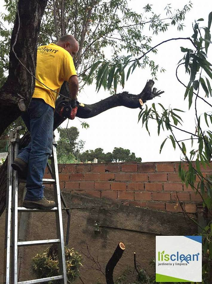 Mantenimiento de jardines : Mantenimiento y limpieza de Lisclean Mantenimiento de jardines : Mantenimiento y limpieza de Lisclean
