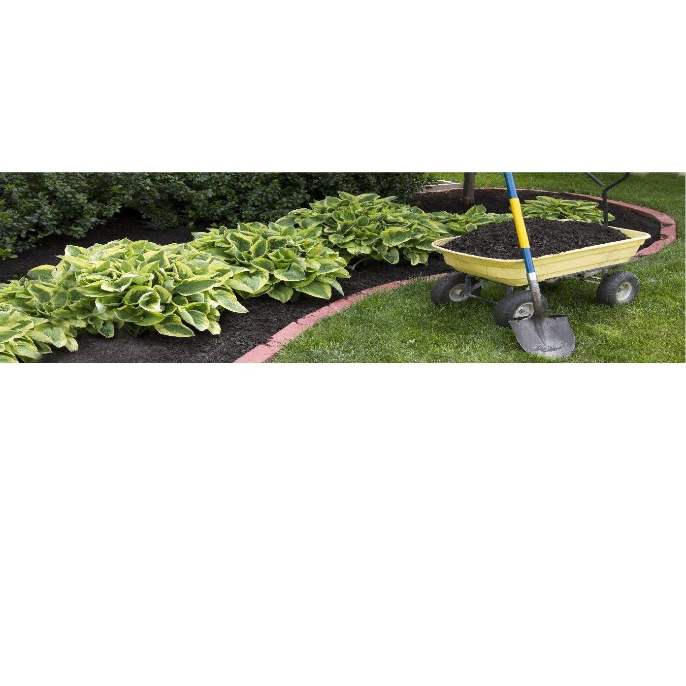 Mantenimiento de jardines : Mantenimiento y limpieza de Lisclean Mantenimiento de jardines : Mantenimiento y limpieza de Lisclean