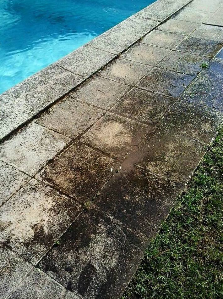 Tipos de limpieza: Mantenimiento y limpieza de Lisclean Tipos de limpieza: Mantenimiento y limpieza de Lisclean