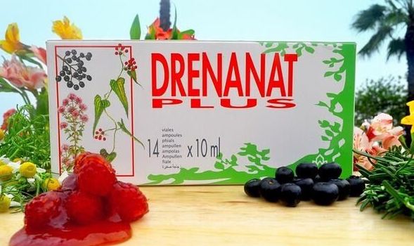 Drenanat plus viales en tu centro Dietetico Naturhouse Moratalaz: Complementos Quema grasa de Naturhouse Moratalaz Drenanat plus viales en tu centro Dietetico Naturhouse Moratalaz: Complementos Quema grasa de Naturhouse Moratalaz