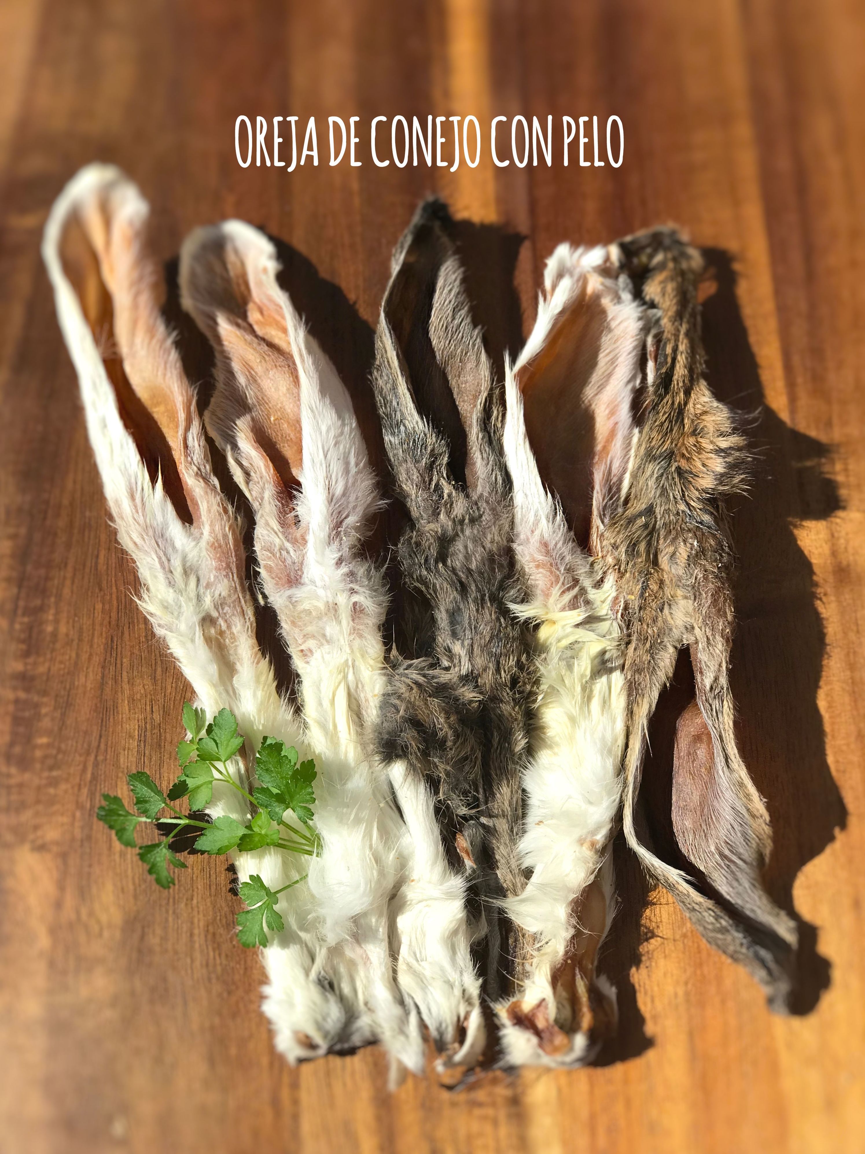Oreja de Conejo con Pelo: Catálogo de productos de Lobitos & Co. Oreja de Conejo con Pelo: Catálogo de productos de Lobitos & Co.