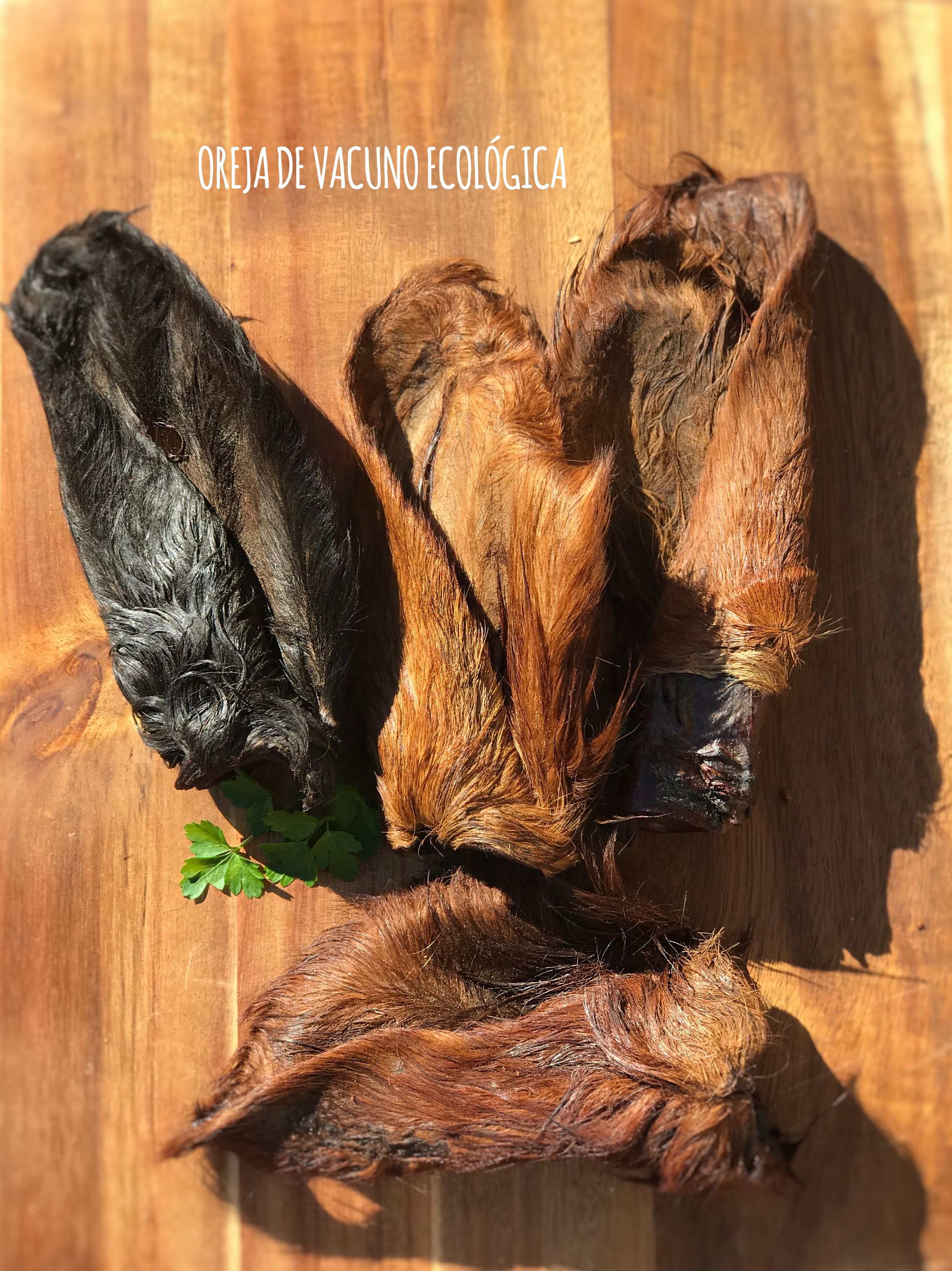 Oreja con Pelo de Vacuno ECOlógico: Catálogo de productos de Lobitos & Co. Oreja con Pelo de Vacuno ECOlógico: Catálogo de productos de Lobitos & Co.