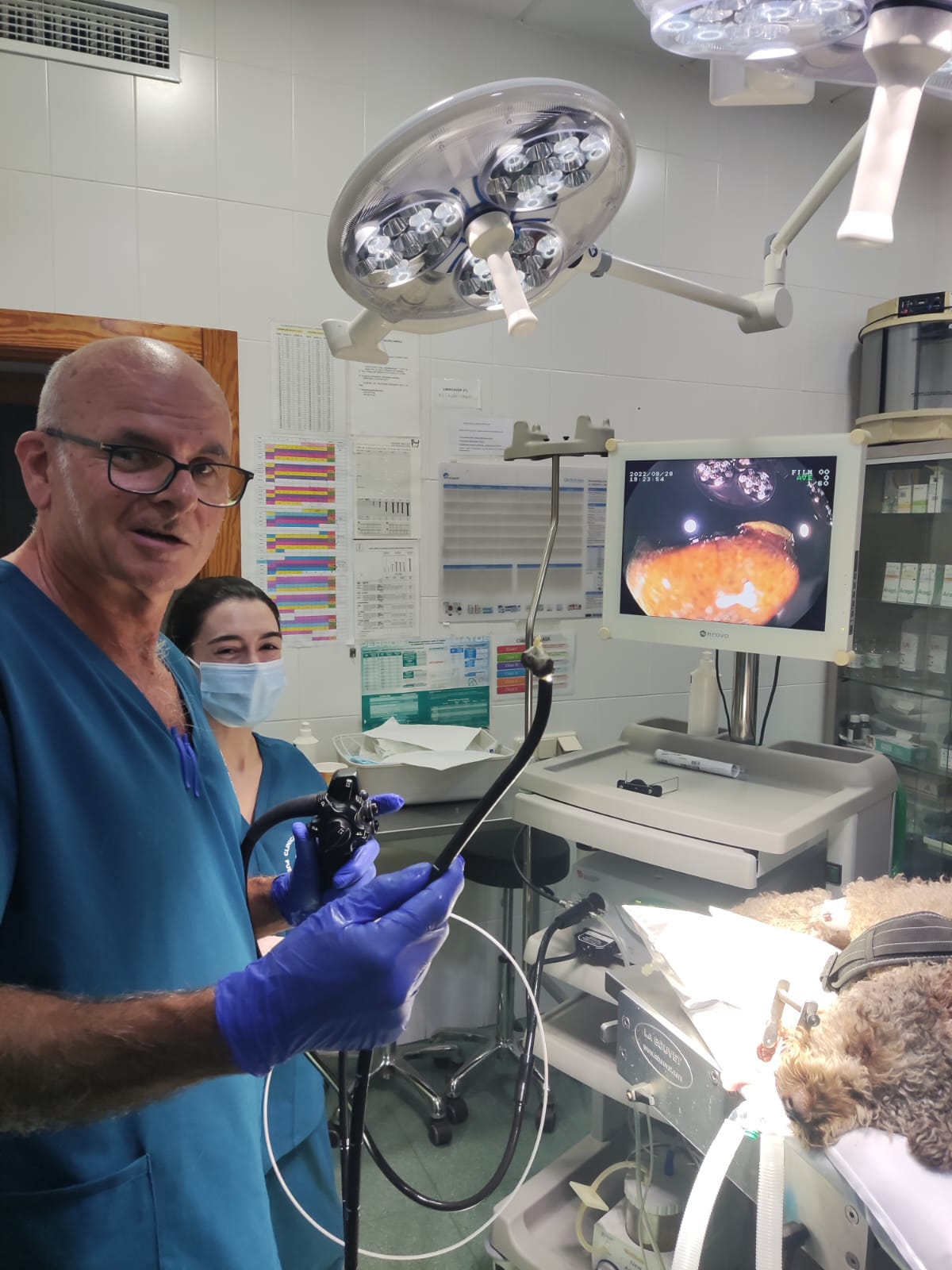 Fibroendoscopio: Servicios de Clínica Veterinaria Puerto Mazarrón