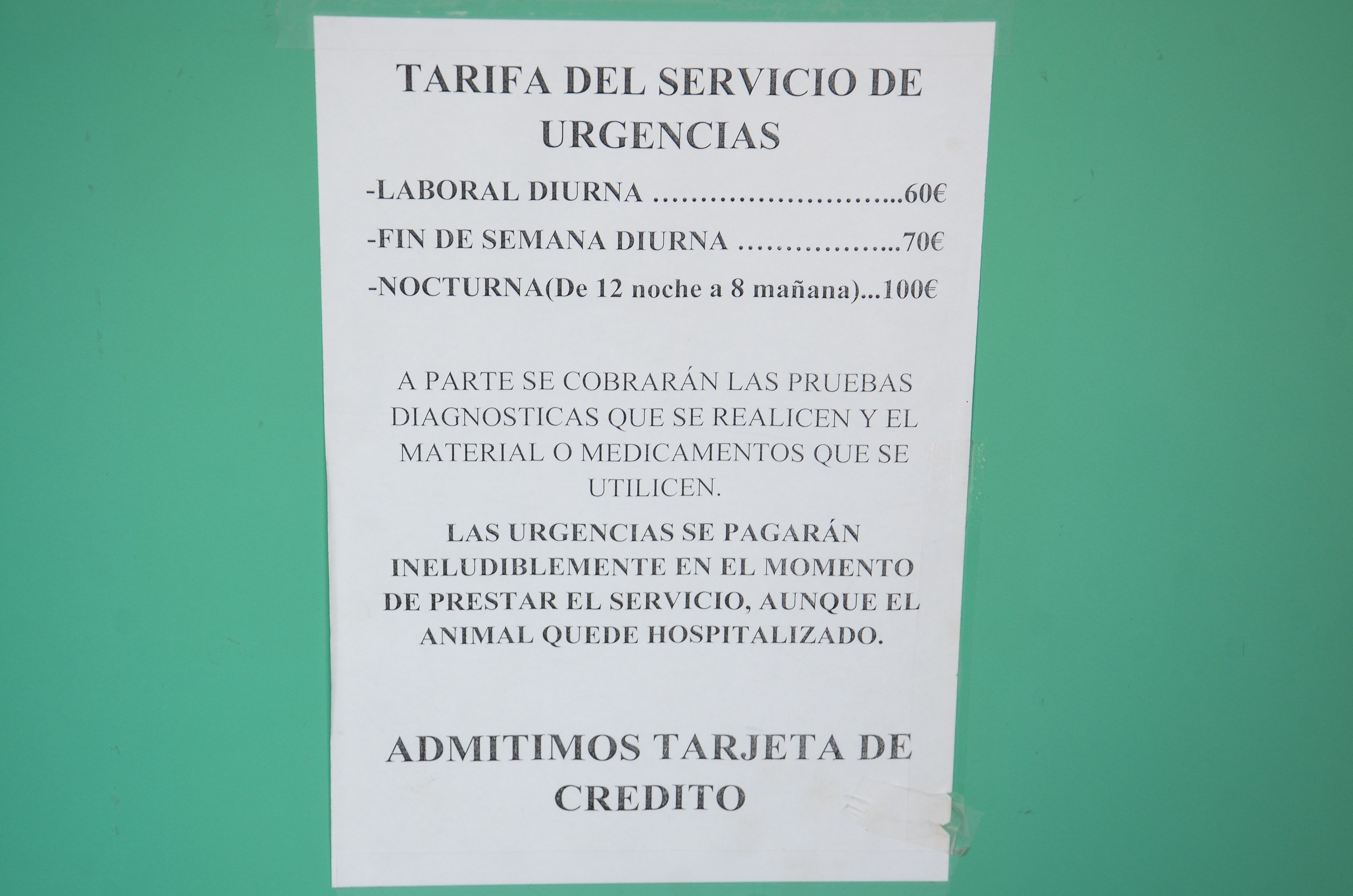Foto 18 de Veterinarios en Mazarrón | Clínica Veterinaria Puerto Mazarrón