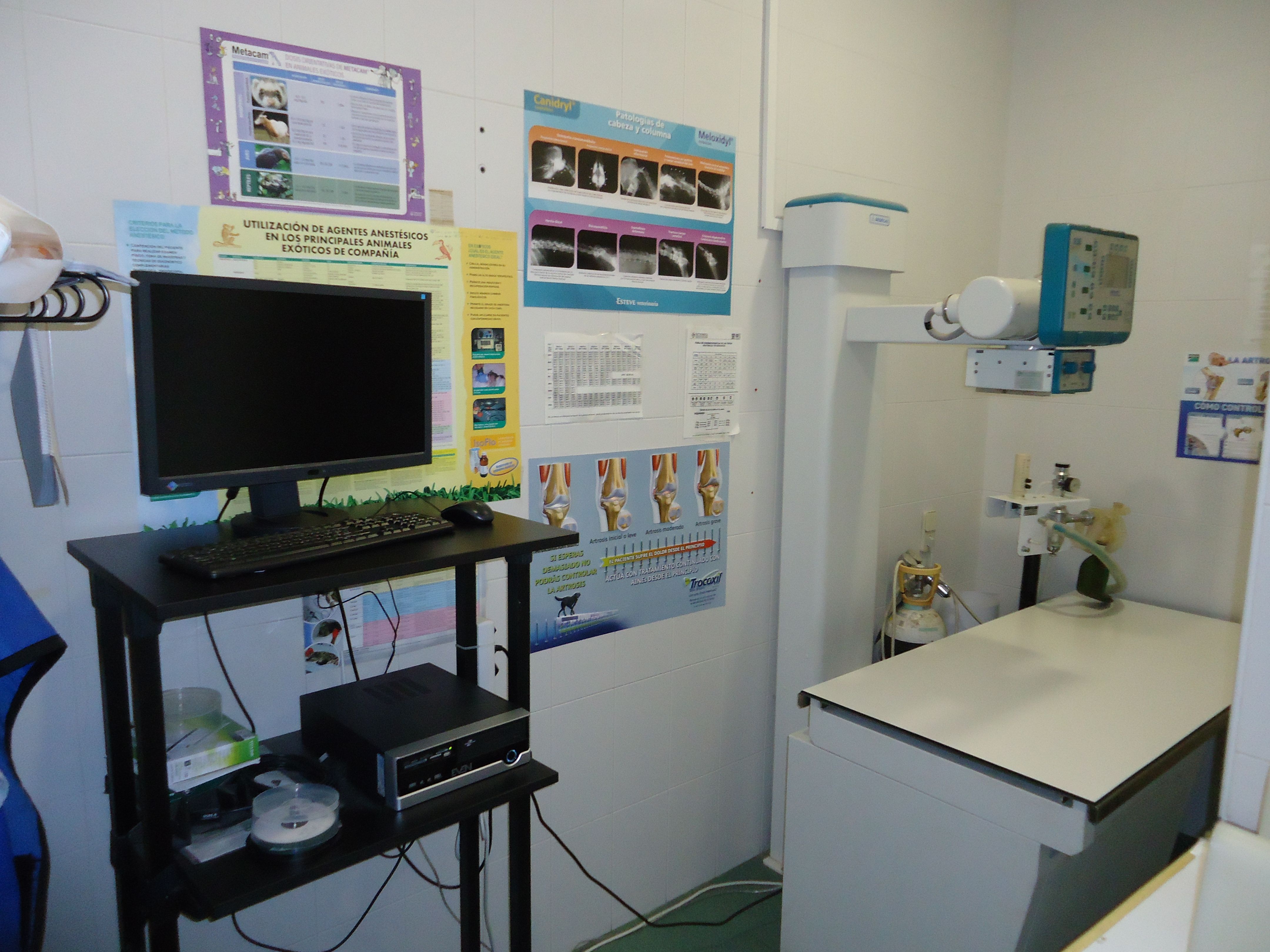 Radiología digital: Servicios de Clínica principal Veterinaria Puerto Mazarrón Radiología digital: Servicios de Clínica principal Veterinaria Puerto Mazarrón
