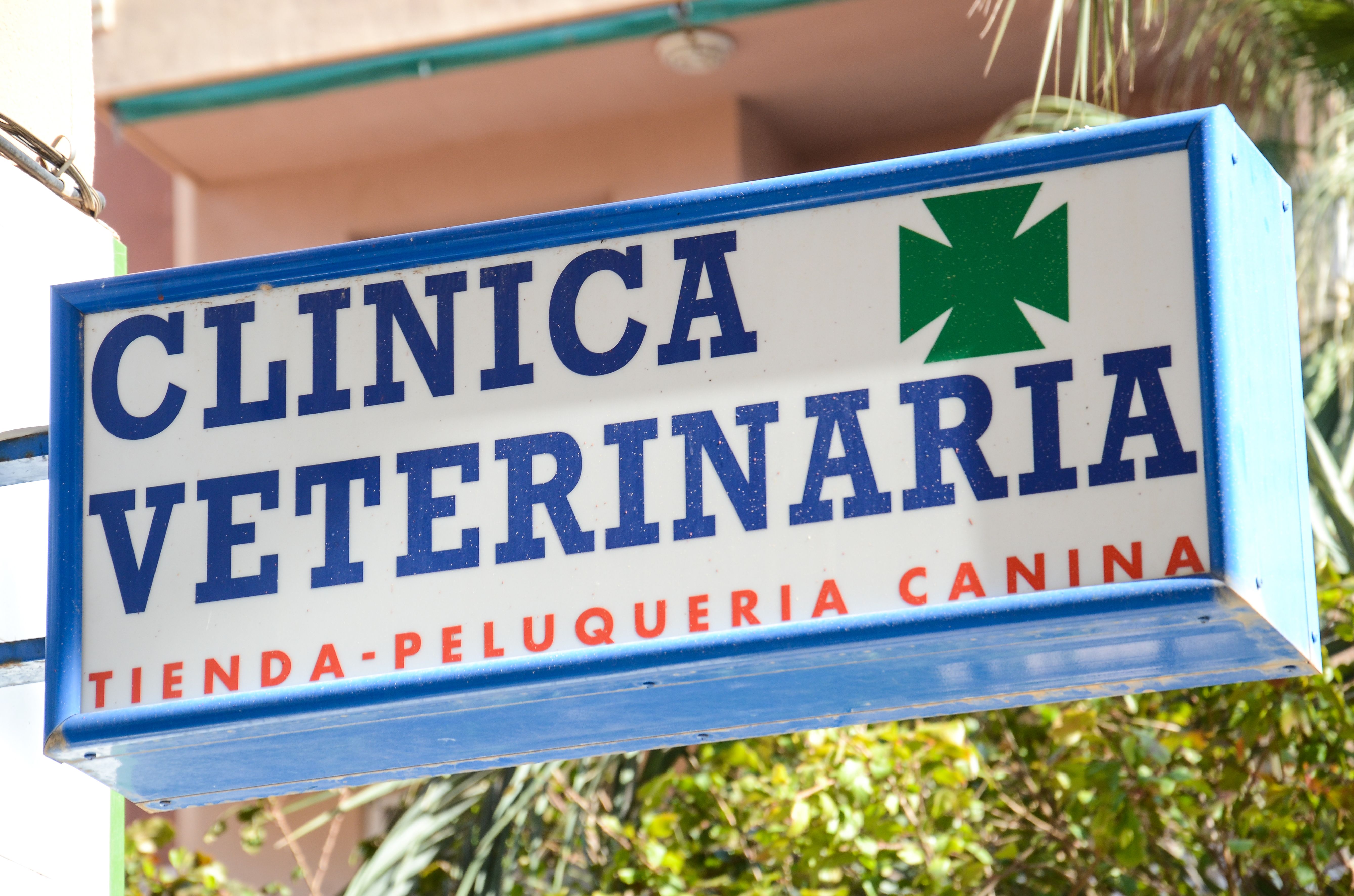 Foto 1 de Veterinarios en Mazarrón | Clínica Veterinaria Puerto Mazarrón