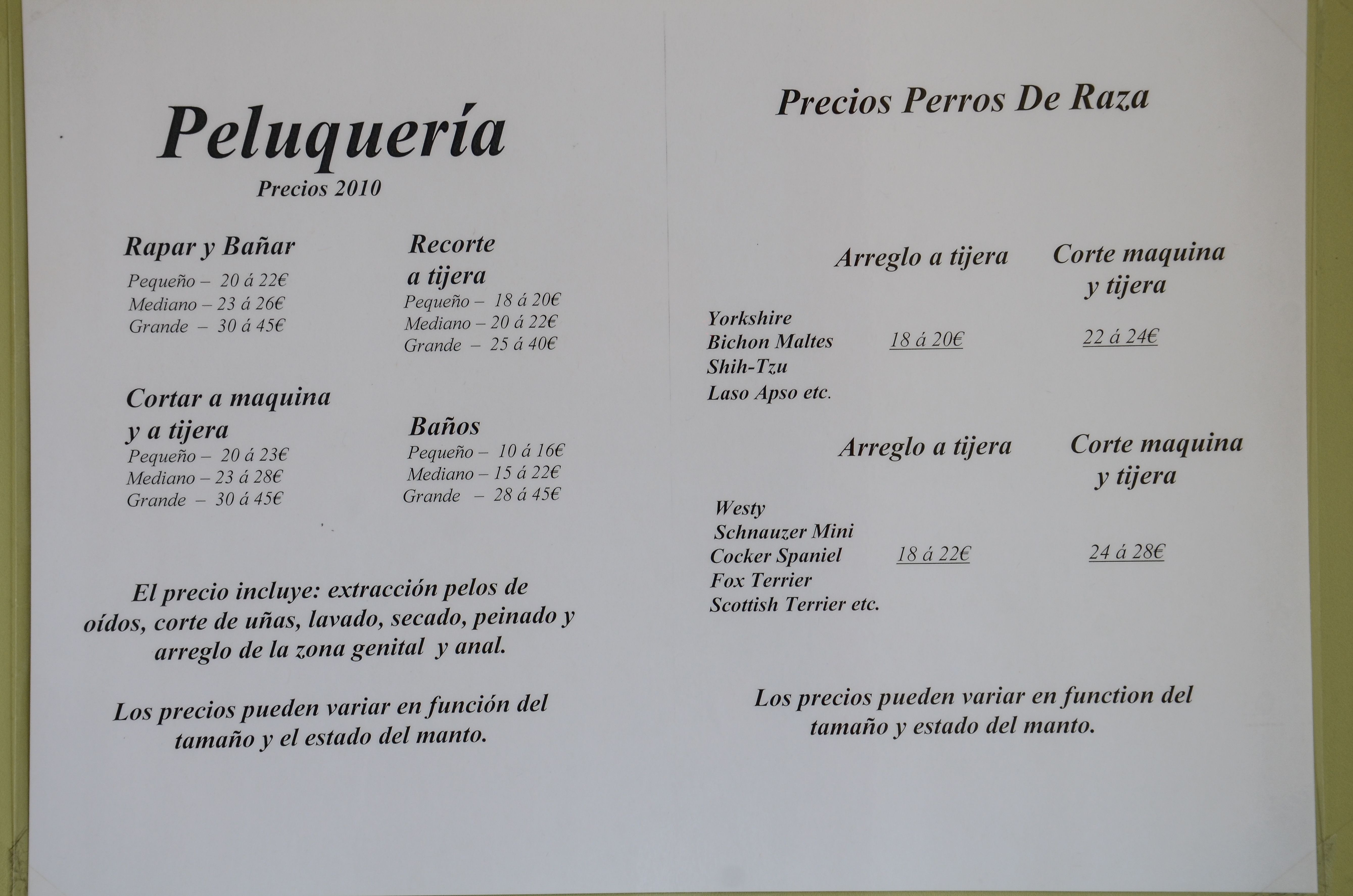 Foto 15 de Veterinarios en Mazarrón | Clínica principal Veterinaria Puerto Mazarrón