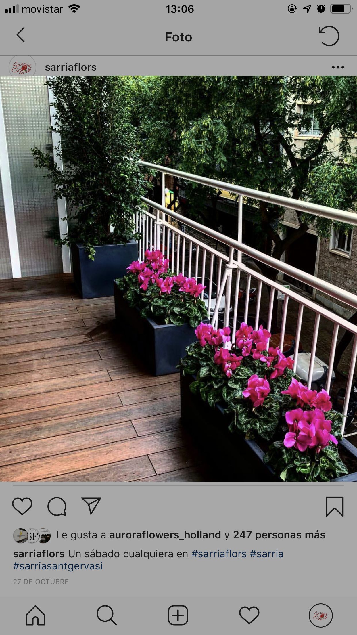 Servicio integral de jardinería: Servicios de Sarria Flors Servicio integral de jardinería: Servicios de Sarria Flors