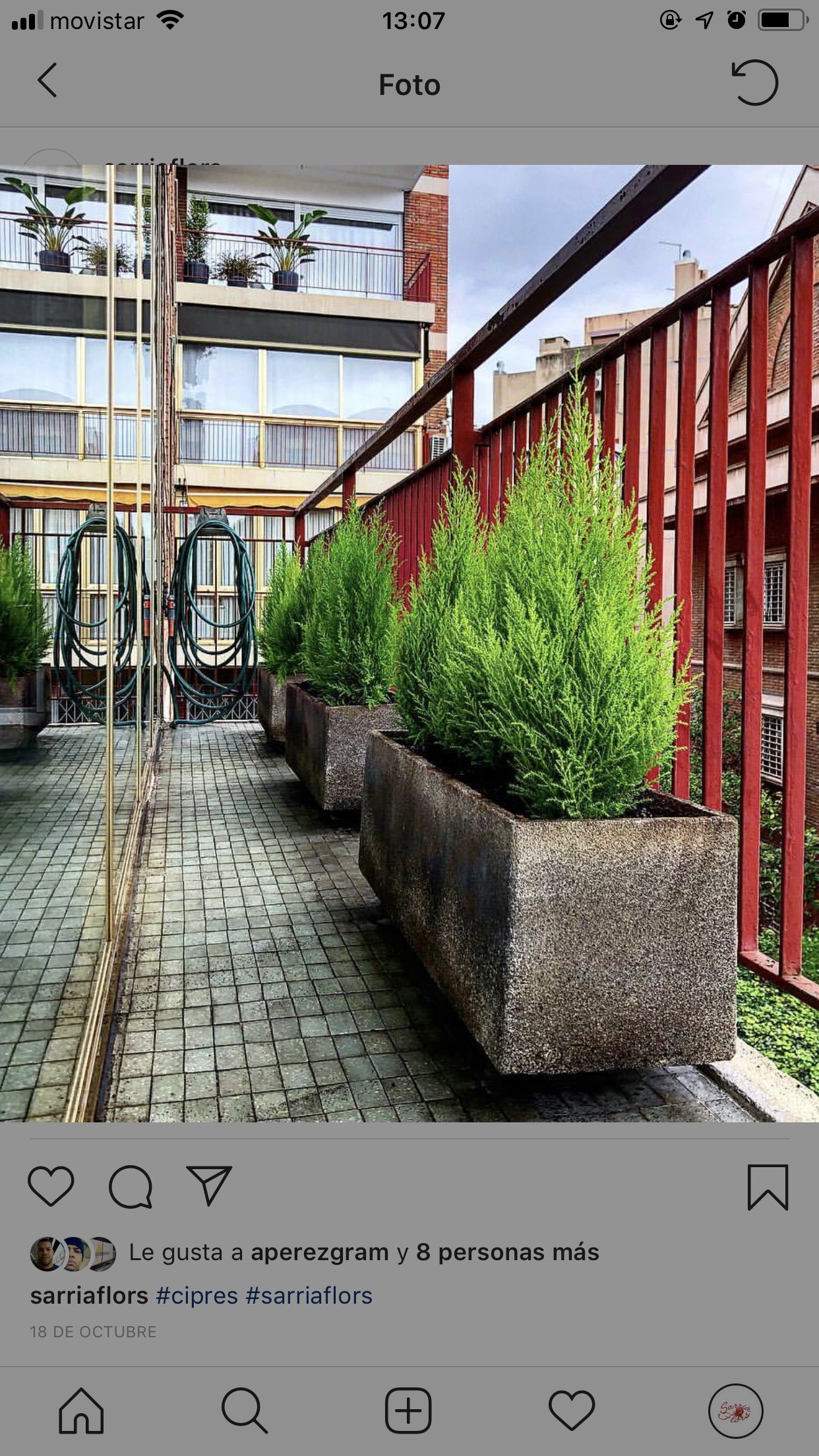 Servicio integral de jardinería: Servicios de Sarria Flors Servicio integral de jardinería: Servicios de Sarria Flors
