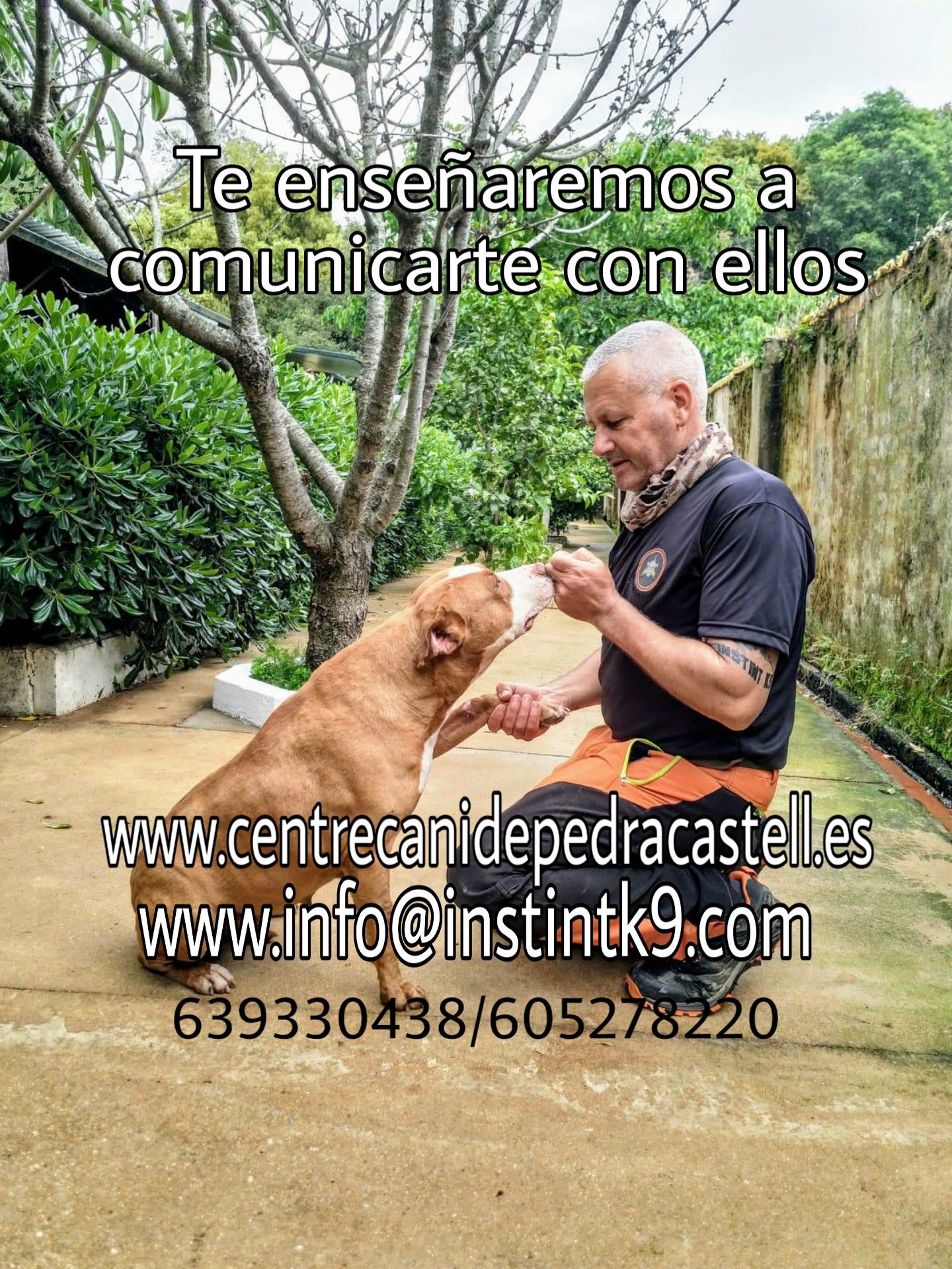 Formación para profesionales: Servicios de Centre Caní De Pedracastell Formación para profesionales: Servicios de Centre Caní De Pedracastell