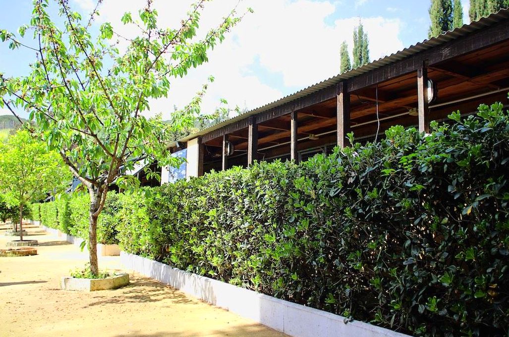 Residencia Canina: Servicios de Centre Caní De Pedracastell Residencia Canina: Servicios de Centre Caní De Pedracastell