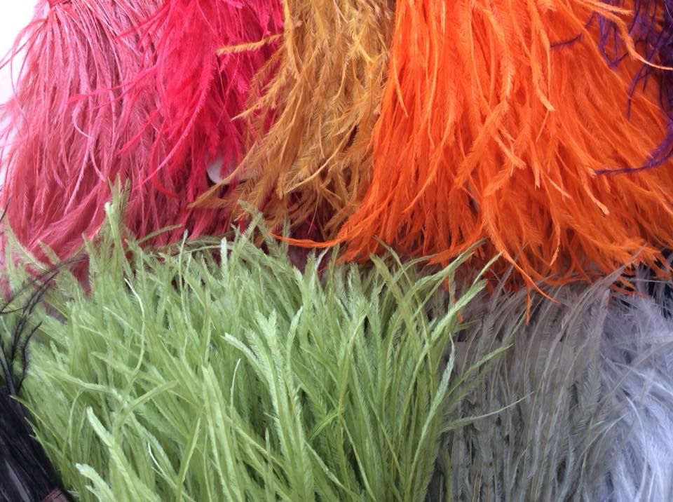Pelos, Plumas y más: Productos de Mercería El Torcal Málaga Pelos, Plumas y más: Productos de Mercería El Torcal Málaga