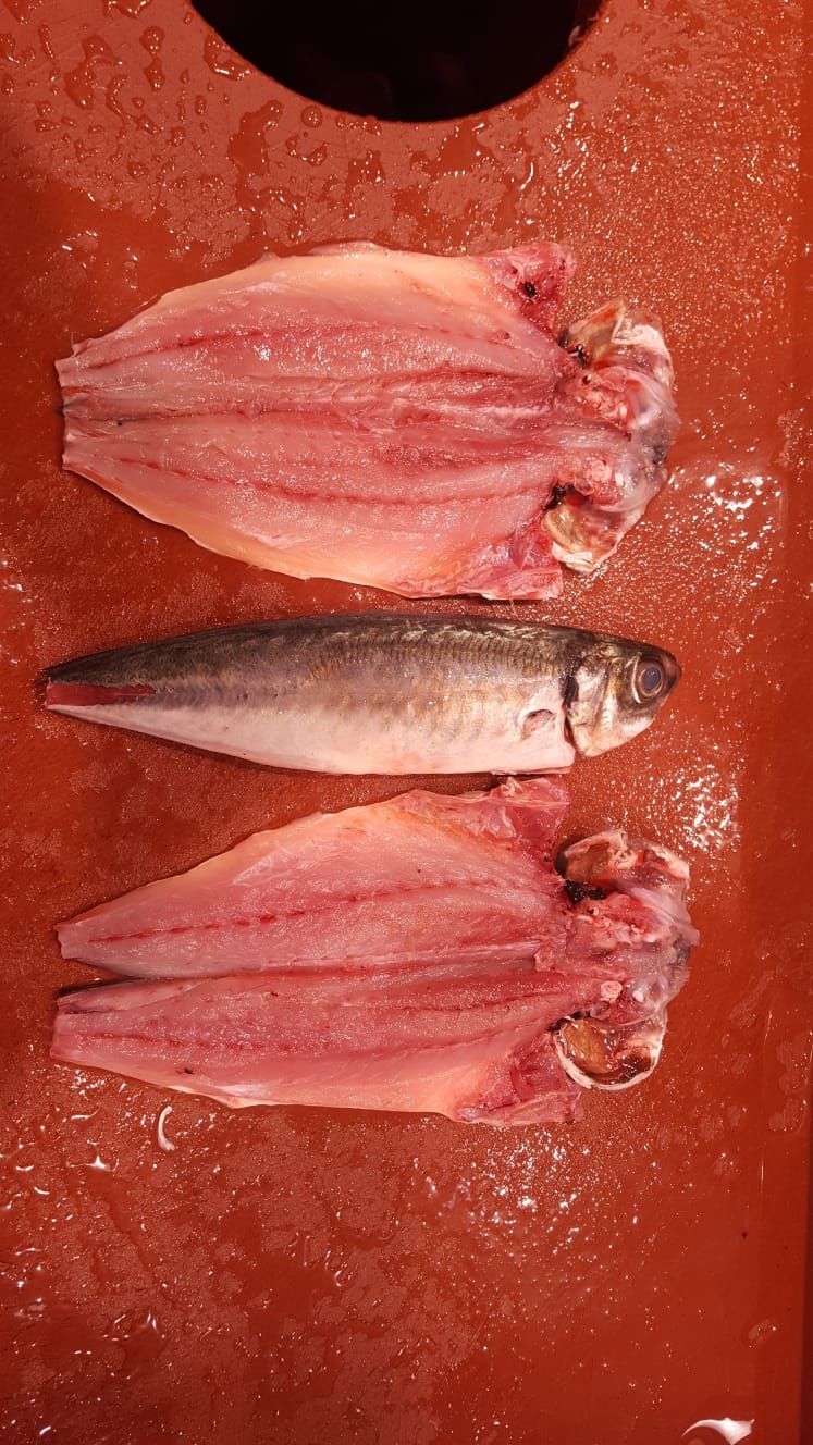 Pescado fresco: Productos de IVÁN FERNÁNDEZ MENÉNDEZ Pescado fresco: Productos de IVÁN FERNÁNDEZ MENÉNDEZ