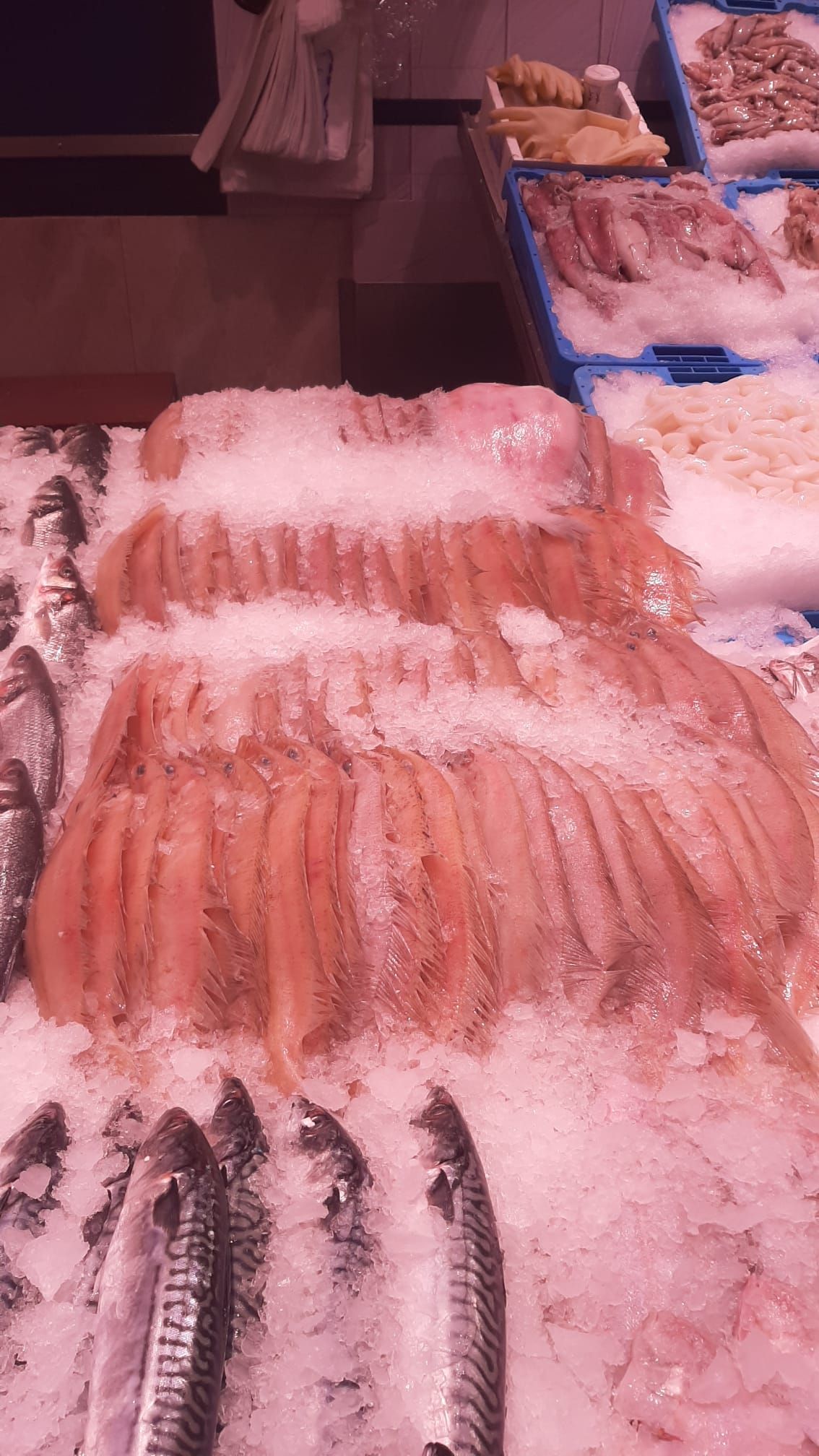 Pescado congelado: Productos de IVÁN FERNÁNDEZ MENÉNDEZ Pescado congelado: Productos de IVÁN FERNÁNDEZ MENÉNDEZ