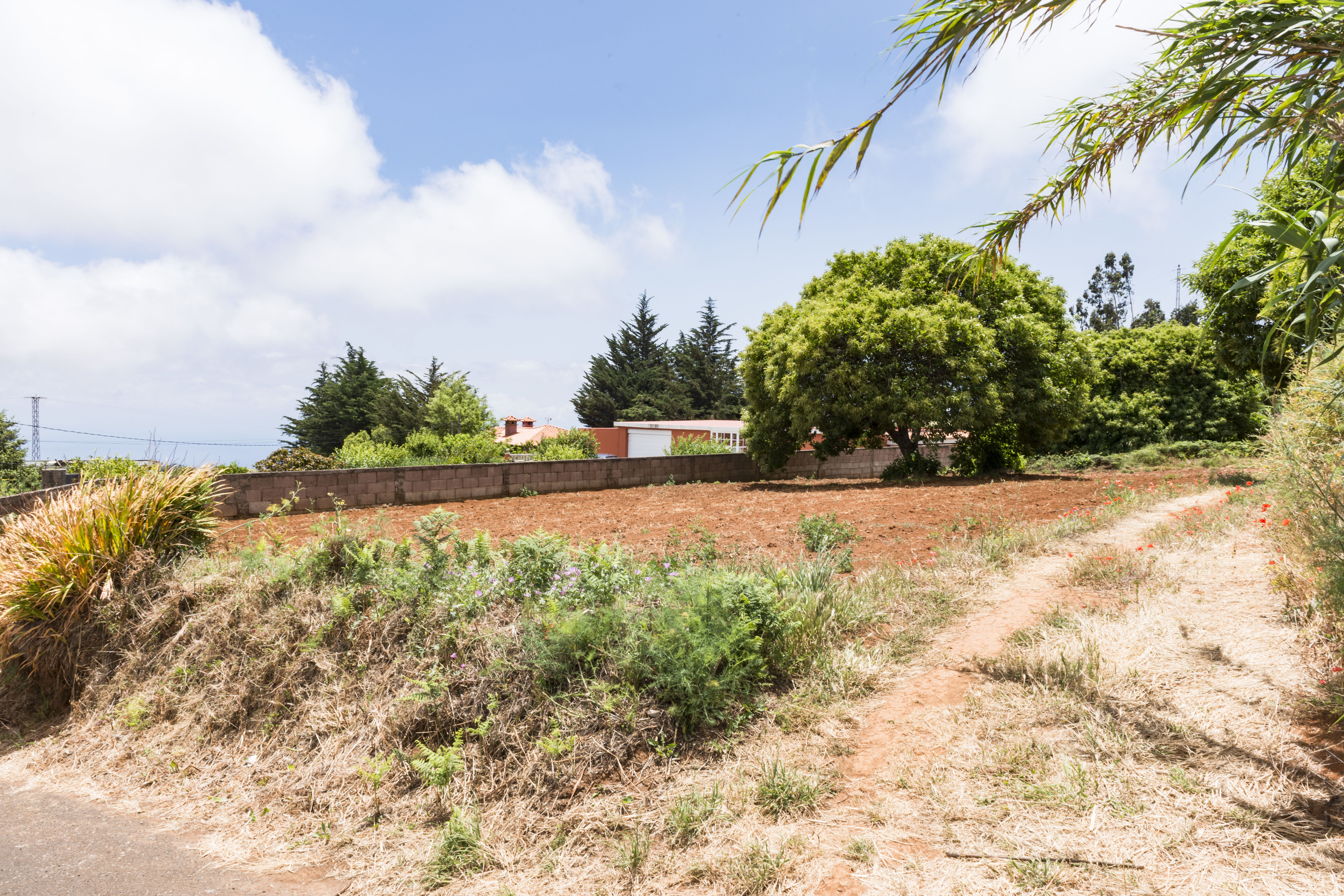 Majada las Vacas: CATALOGOS DE CASAS Y TERRENOS de Fundo y Madelar Majada las Vacas: CATALOGOS DE CASAS Y TERRENOS de Fundo y Madelar