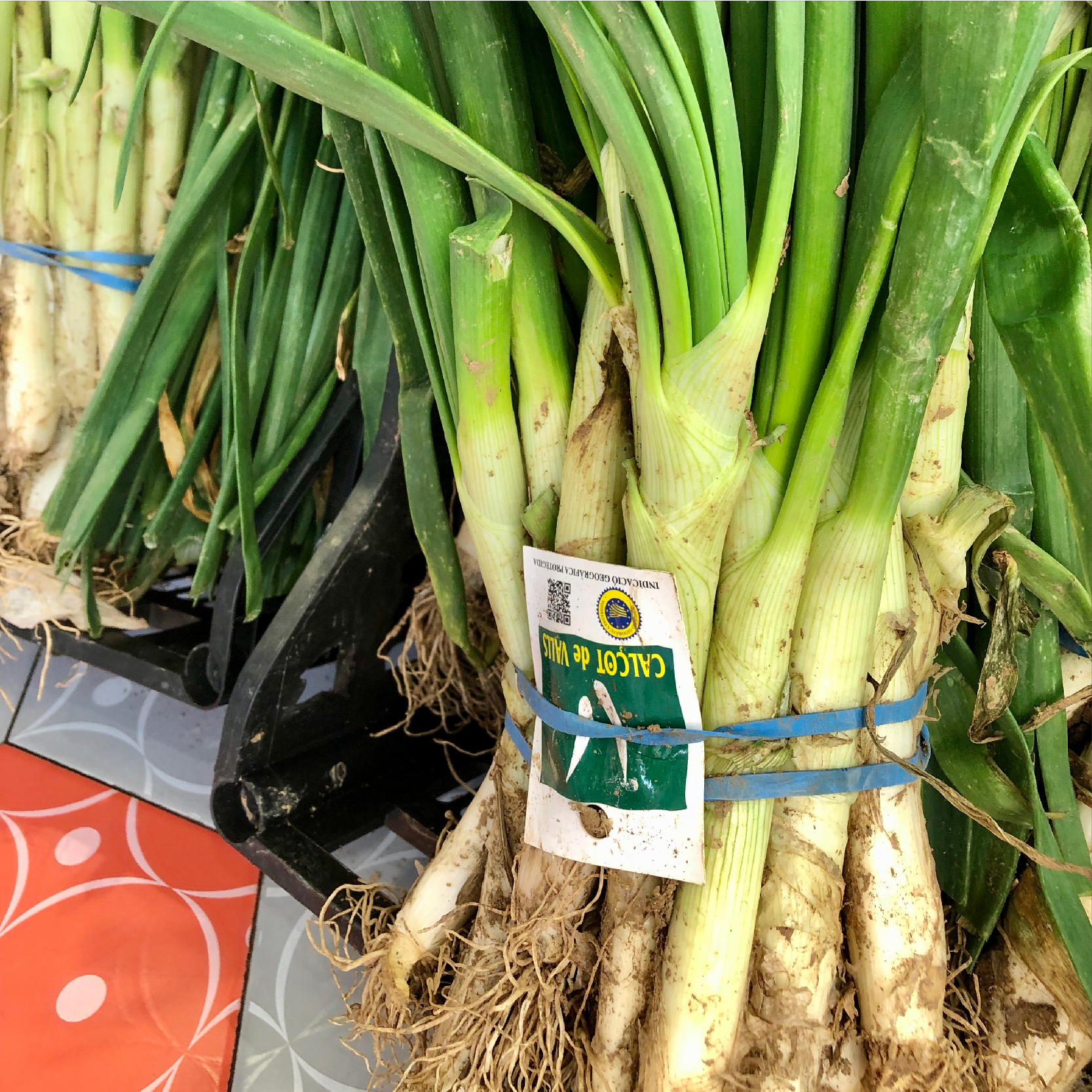 Calçots y Alcachofas de temporada: Nuestra Carta de A la Cart@ Esplugues Calçots y Alcachofas de temporada: Nuestra Carta de A la Cart@ Esplugues