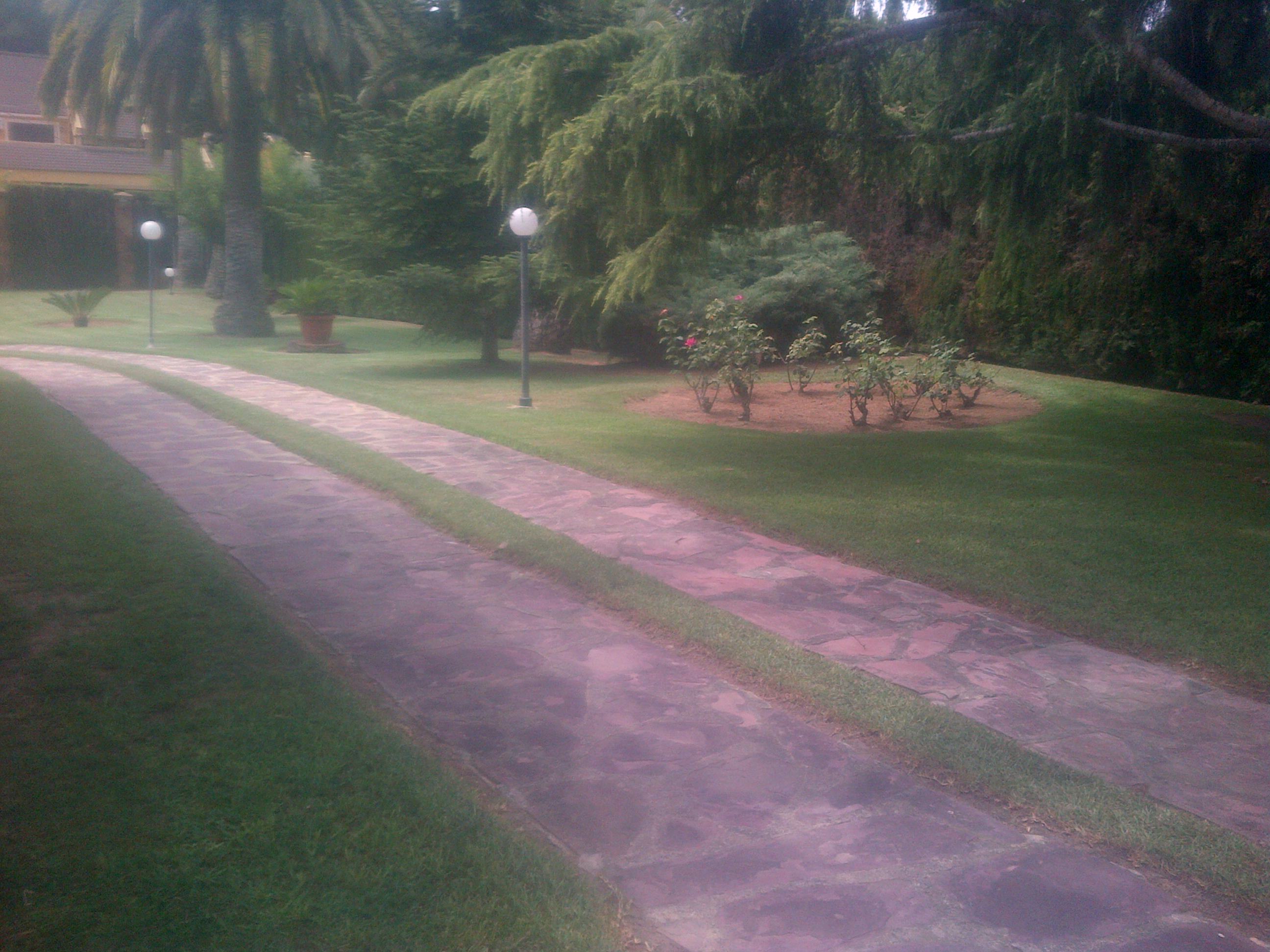 Mantenimiento de jardines: Jardinería Vicente Salcedo de Jardinería Vicente Salcedo Mantenimiento de jardines: Jardinería Vicente Salcedo de Jardinería Vicente Salcedo