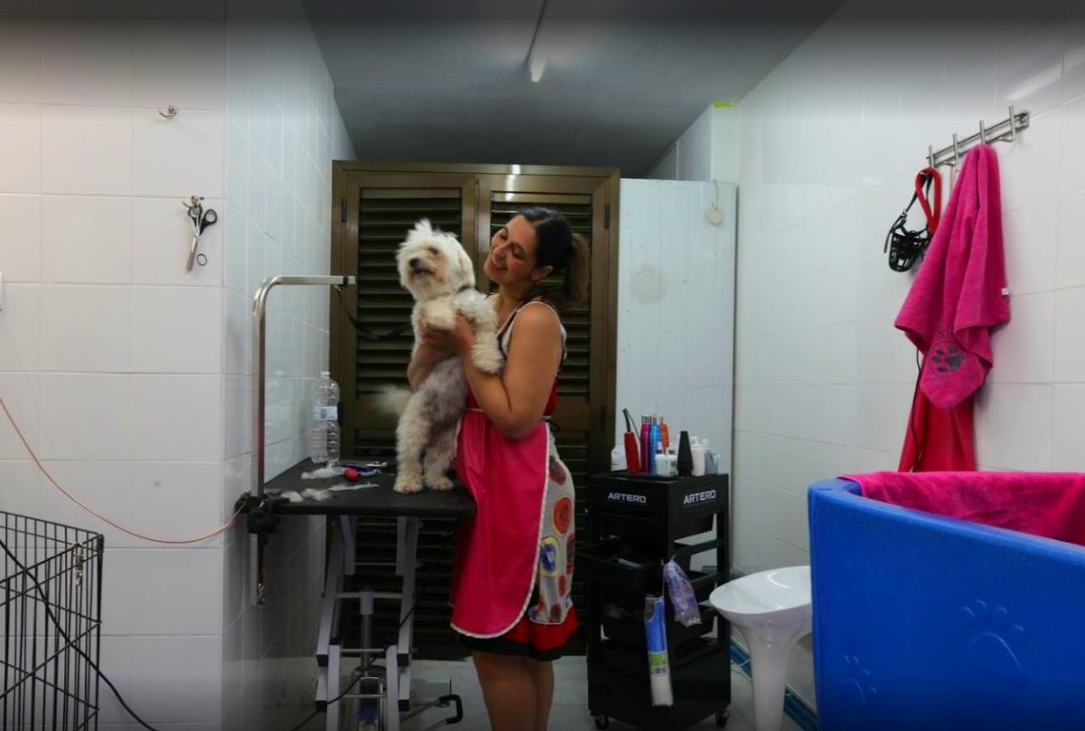 Peluquería canina: Productos y servicios de Peluquería Canina y Felina Can Pepa Peluquería canina: Productos y servicios de Peluquería Canina y Felina Can Pepa