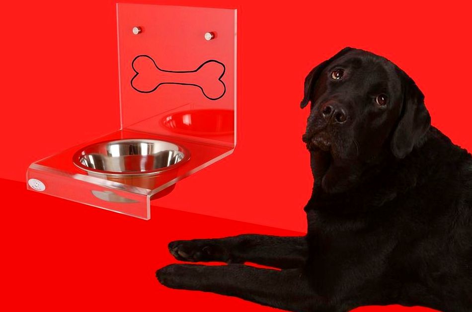 Dieta B.A.R.F /A.C.B.A comida cruda , alimentación natural : Productos y servicios de Peluquería Canina y Felina Can Pepa Dieta B.A.R.F /A.C.B.A comida cruda , alimentación natural : Productos y servicios de Peluquería Canina y Felina Can Pepa