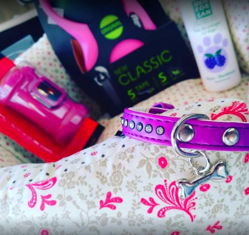 Accesorios y complementos: Productos y servicios de Peluquería Canina y Felina Can Pepa Accesorios y complementos: Productos y servicios de Peluquería Canina y Felina Can Pepa