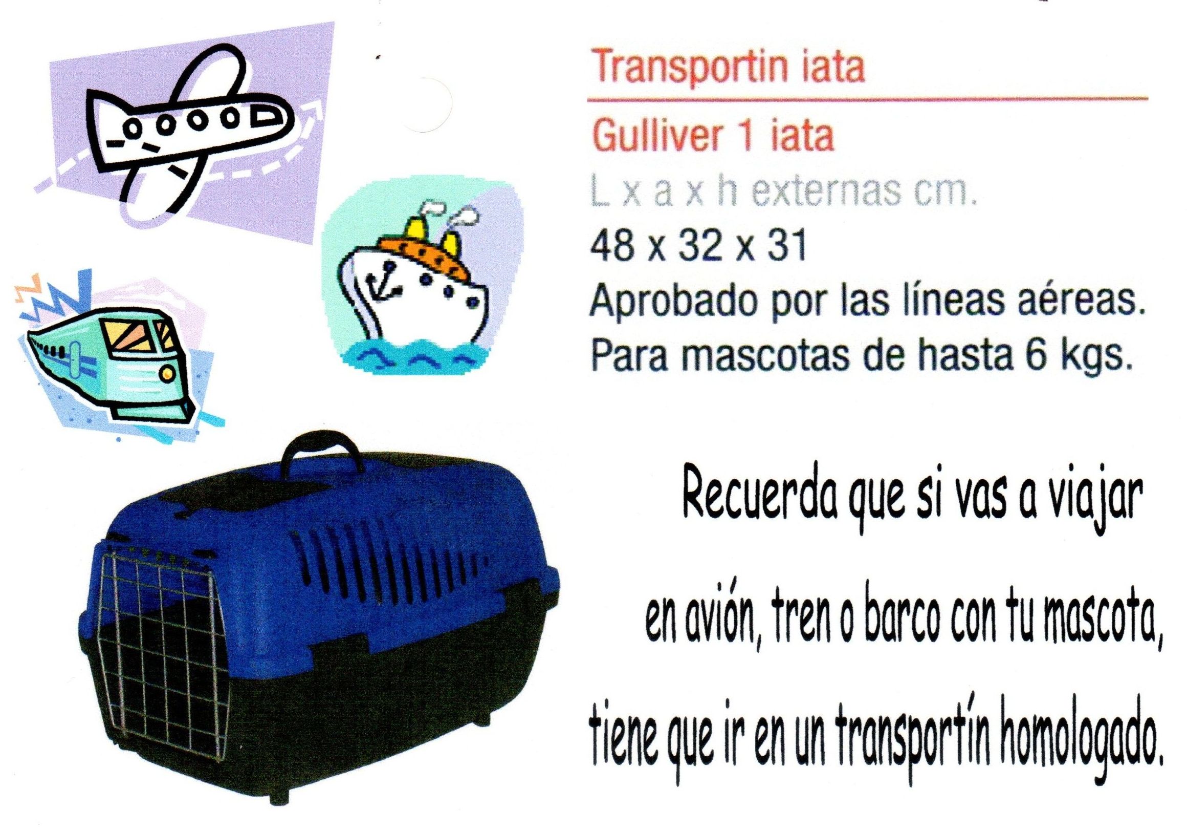 Viajar con mascotas: Consejos de Clínica Veterinaria Maestro Sosa