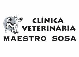Foto 22 de Veterinarios en Valencia | Clínica Veterinaria Maestro Sosa