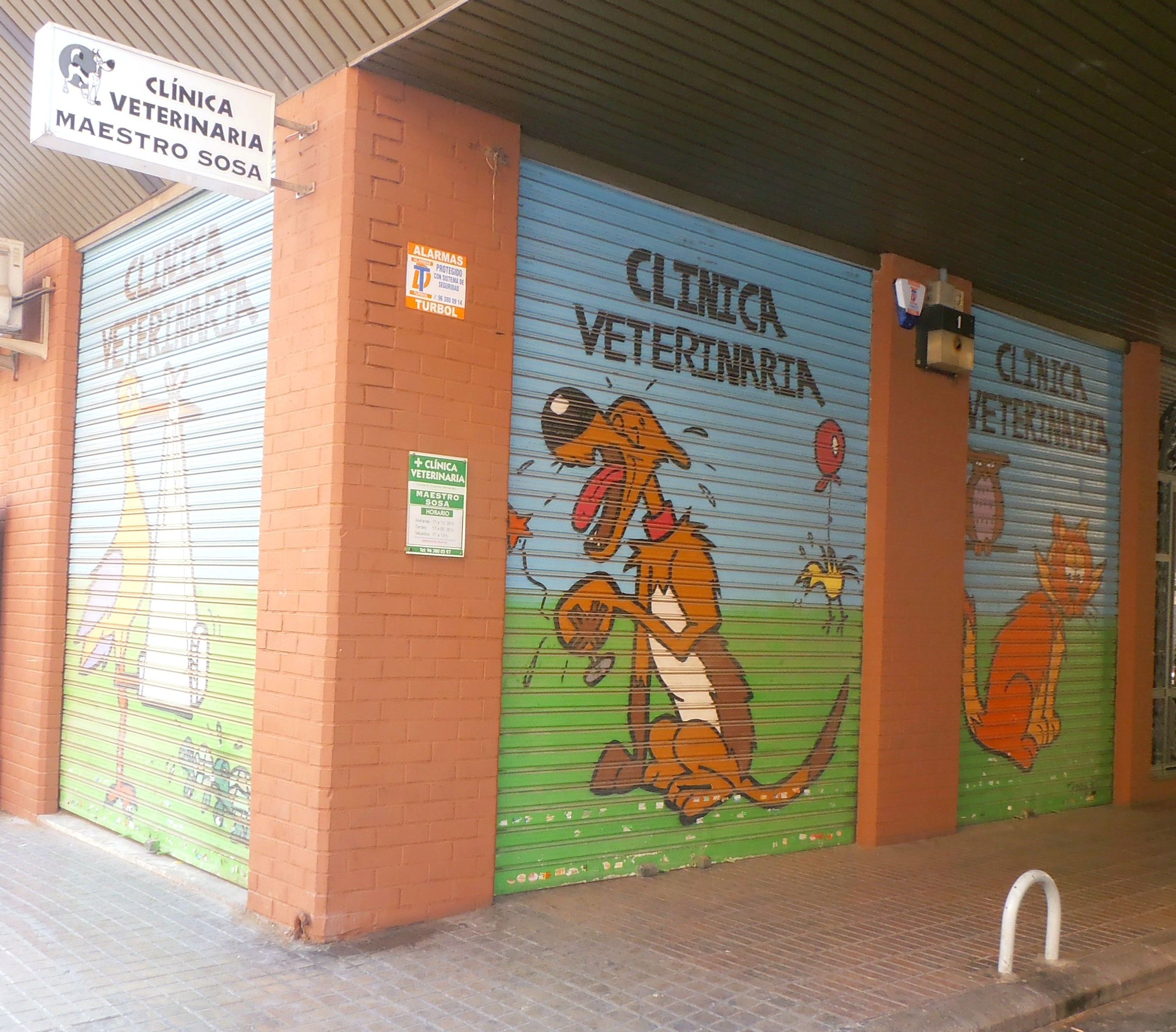Foto 21 de Veterinarios en Valencia | Clínica Veterinaria Maestro Sosa