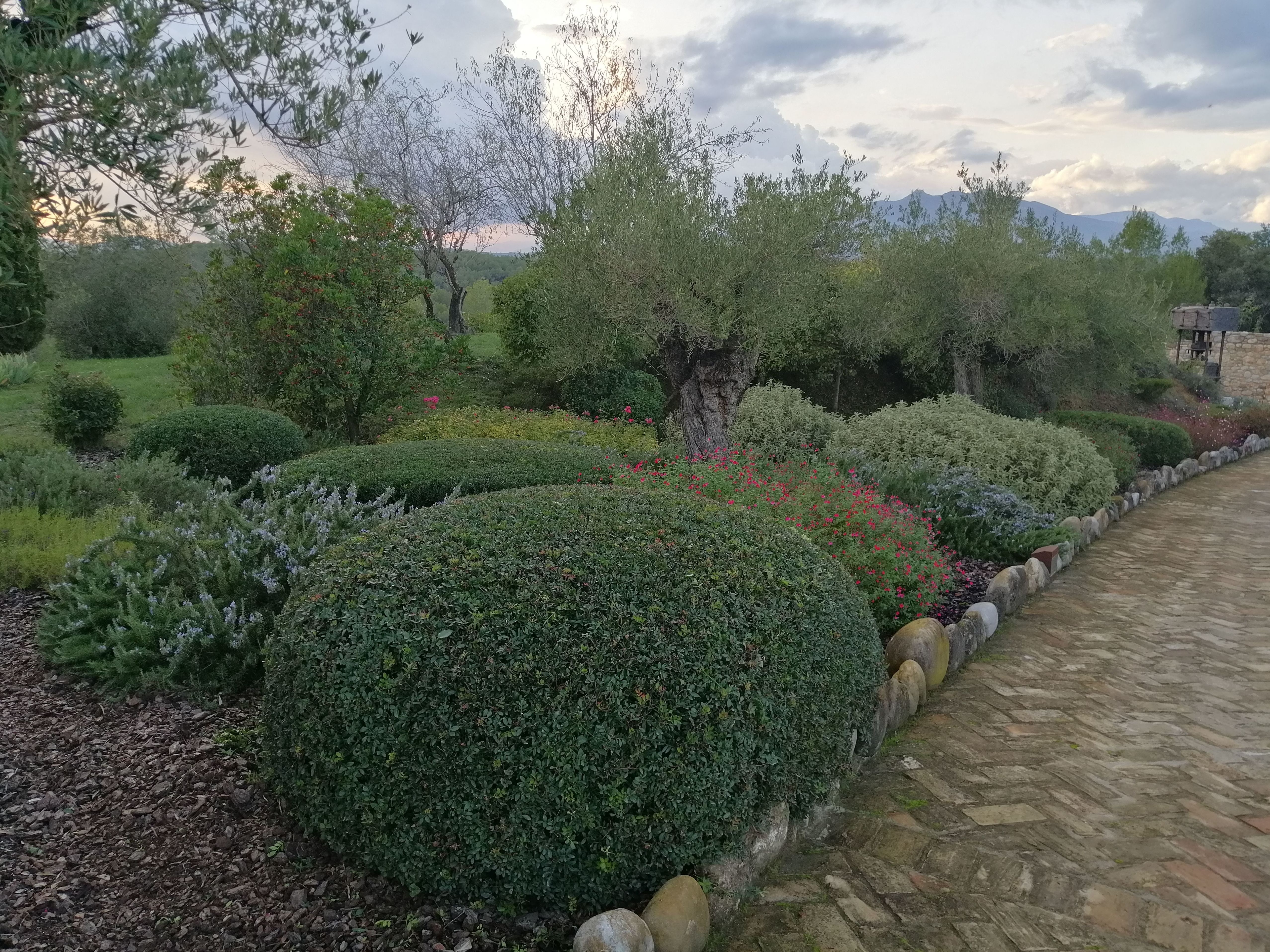 Diseño de jardines: Servicios de Jardinería Garrotxa Diseño de jardines: Servicios de Jardinería Garrotxa