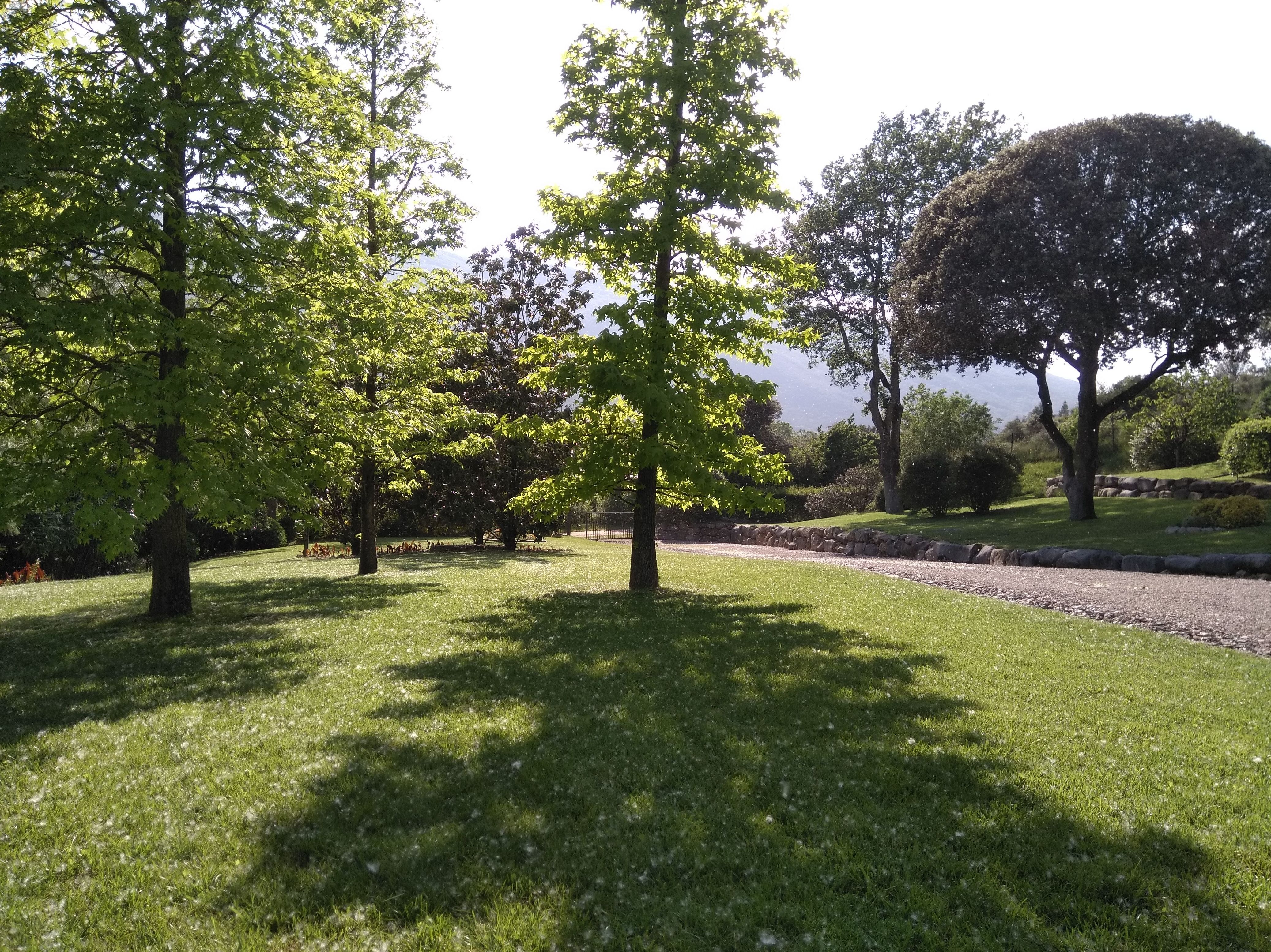 Diseño de jardines: Servicios de Jardinería Garrotxa Diseño de jardines: Servicios de Jardinería Garrotxa