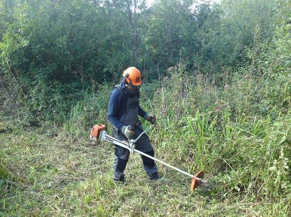 Limpiezas forestales: Servicios de Jardinería Garrotxa Limpiezas forestales: Servicios de Jardinería Garrotxa