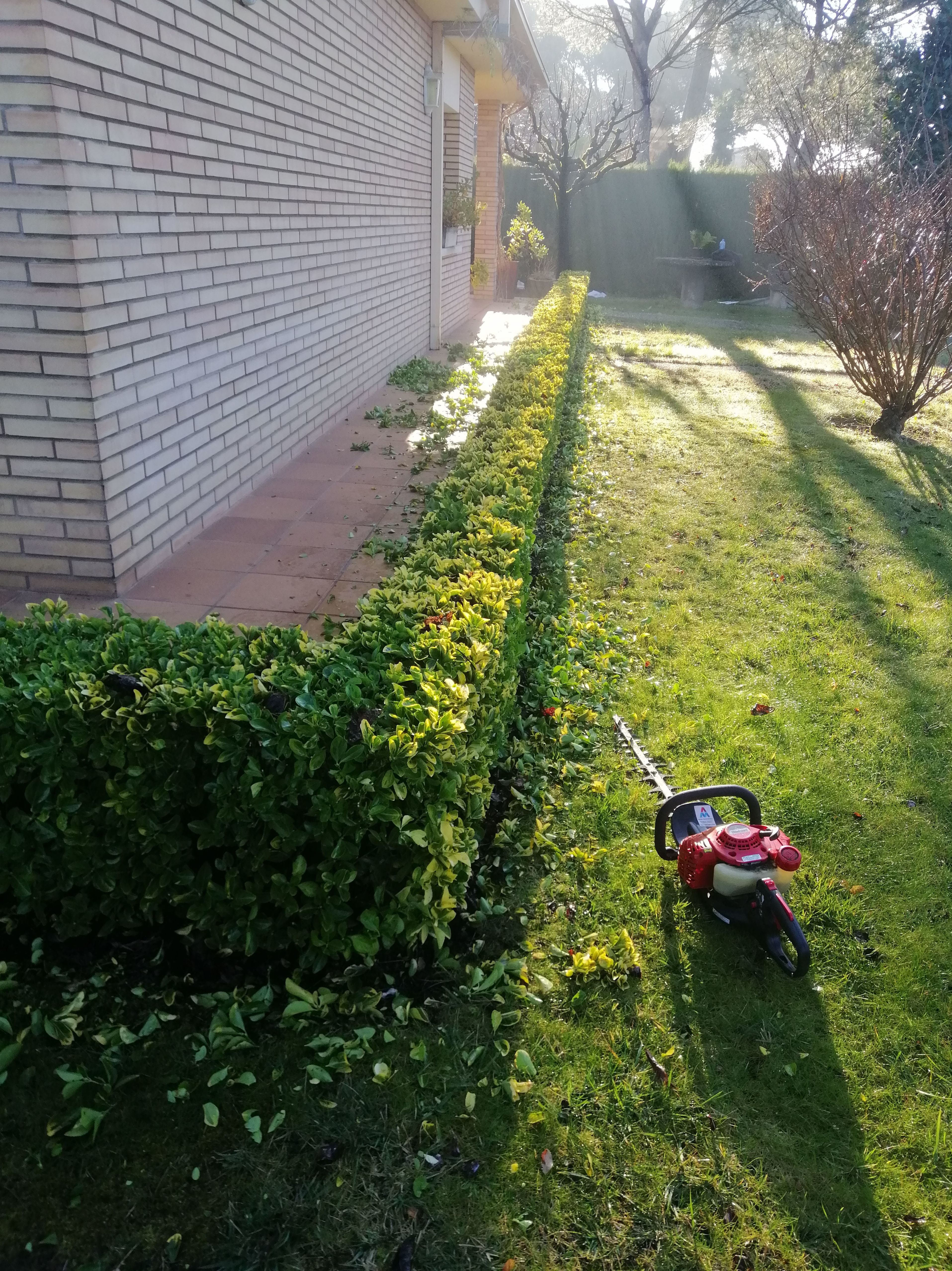 Mantenimiento de jardines: Servicios de Jardinería Garrotxa Mantenimiento de jardines: Servicios de Jardinería Garrotxa