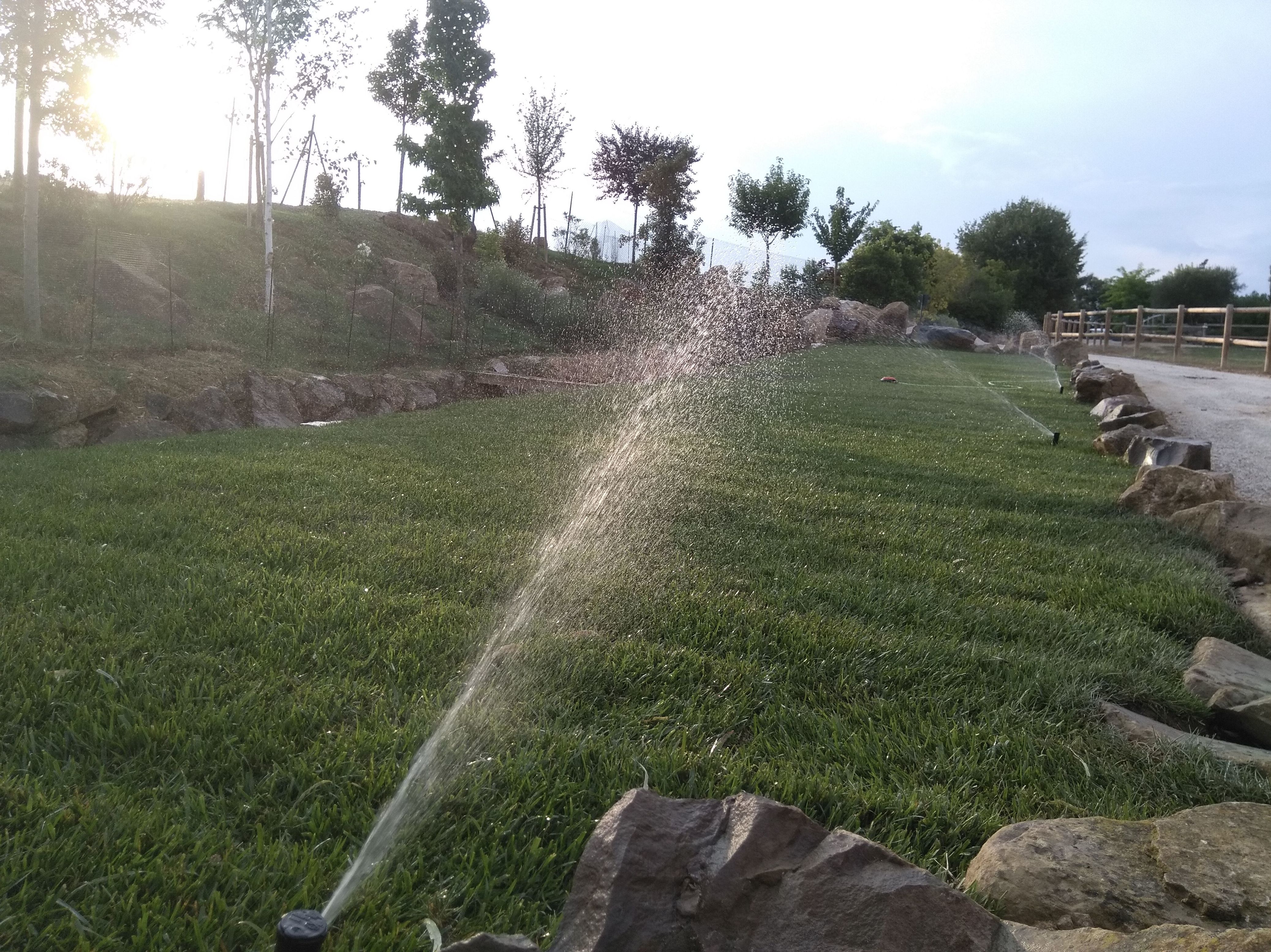 Instalación de sistemas de riego: Servicios de Jardinería Garrotxa Instalación de sistemas de riego: Servicios de Jardinería Garrotxa