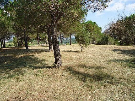 Limpiezas forestales: Servicios de Jardinería Garrotxa Limpiezas forestales: Servicios de Jardinería Garrotxa