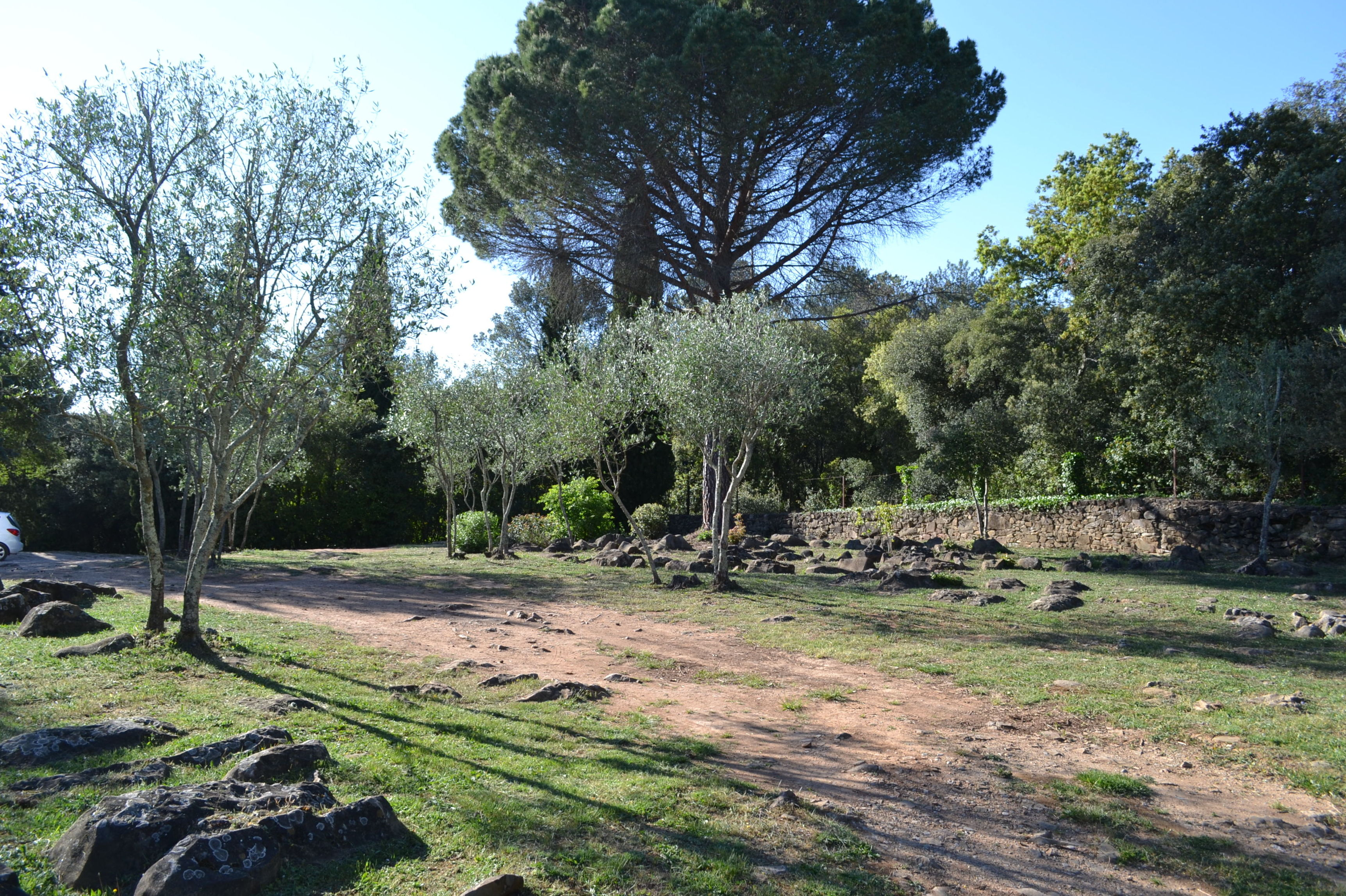 Limpiezas forestales: Servicios de Jardinería Garrotxa Limpiezas forestales: Servicios de Jardinería Garrotxa