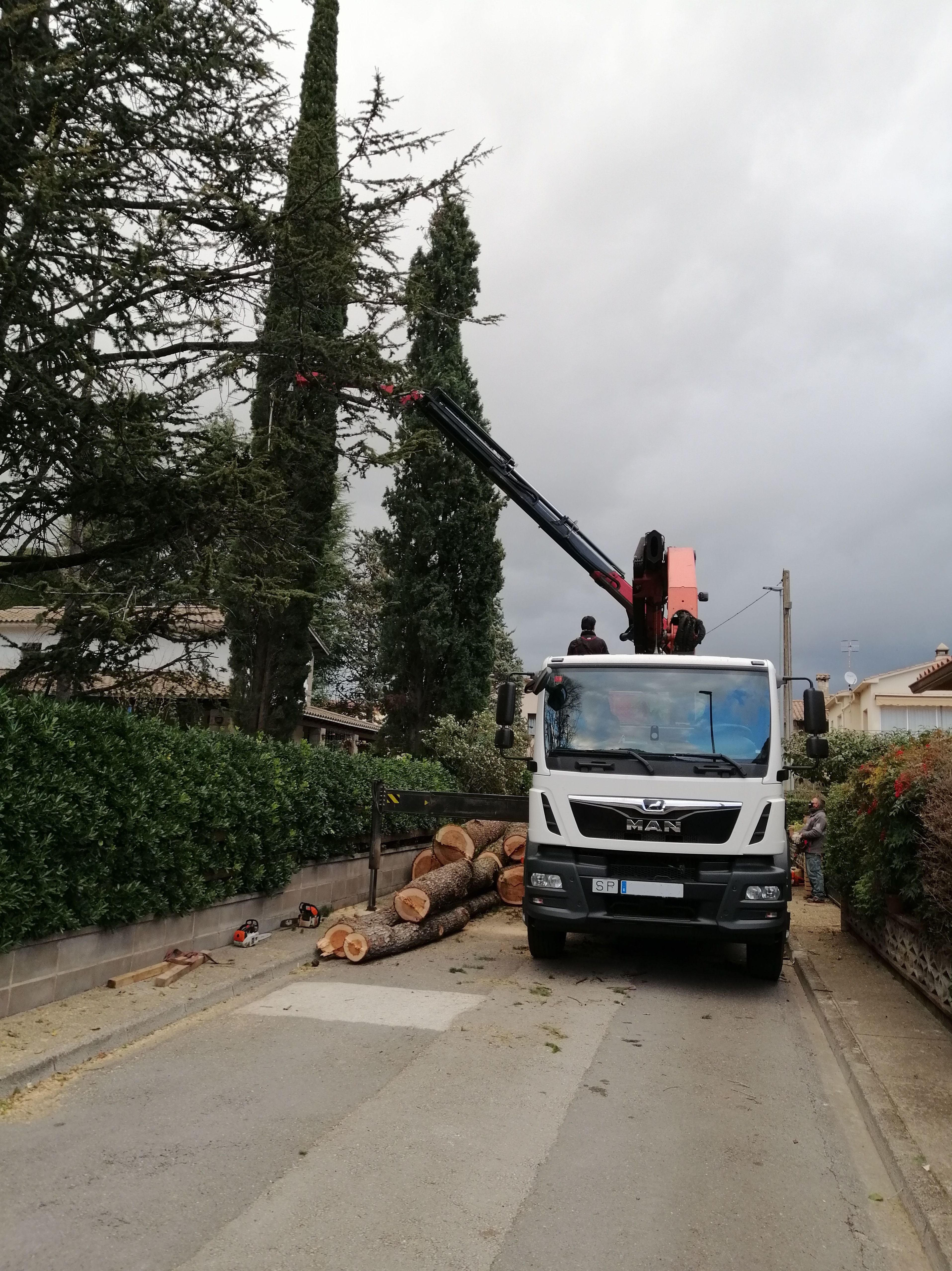 Poda y tala de arboles: Servicios de Jardinería Garrotxa Poda y tala de arboles: Servicios de Jardinería Garrotxa