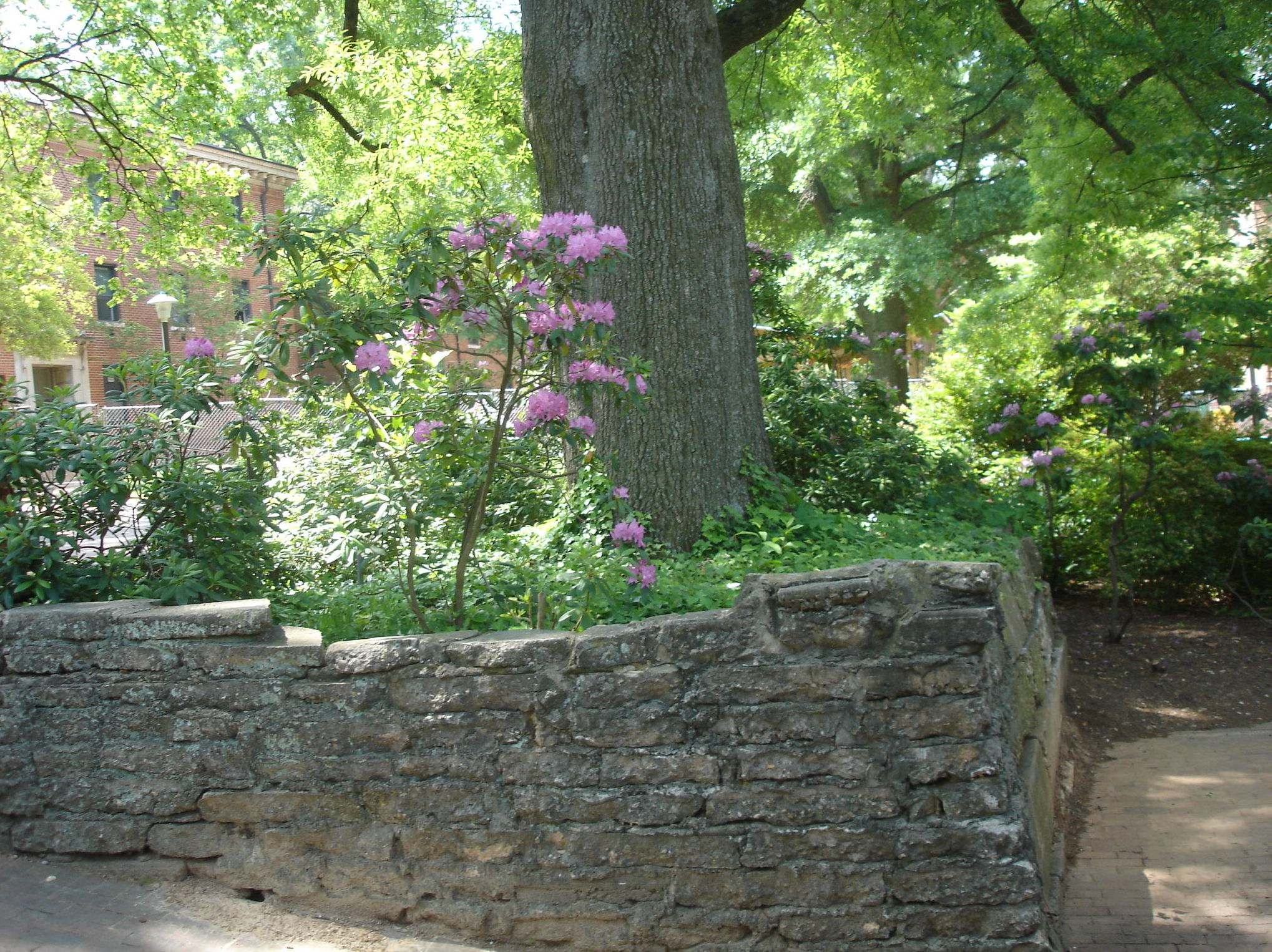 Otros servicios disponibles : Servicios de Jardinería Garrotxa Otros servicios disponibles : Servicios de Jardinería Garrotxa
