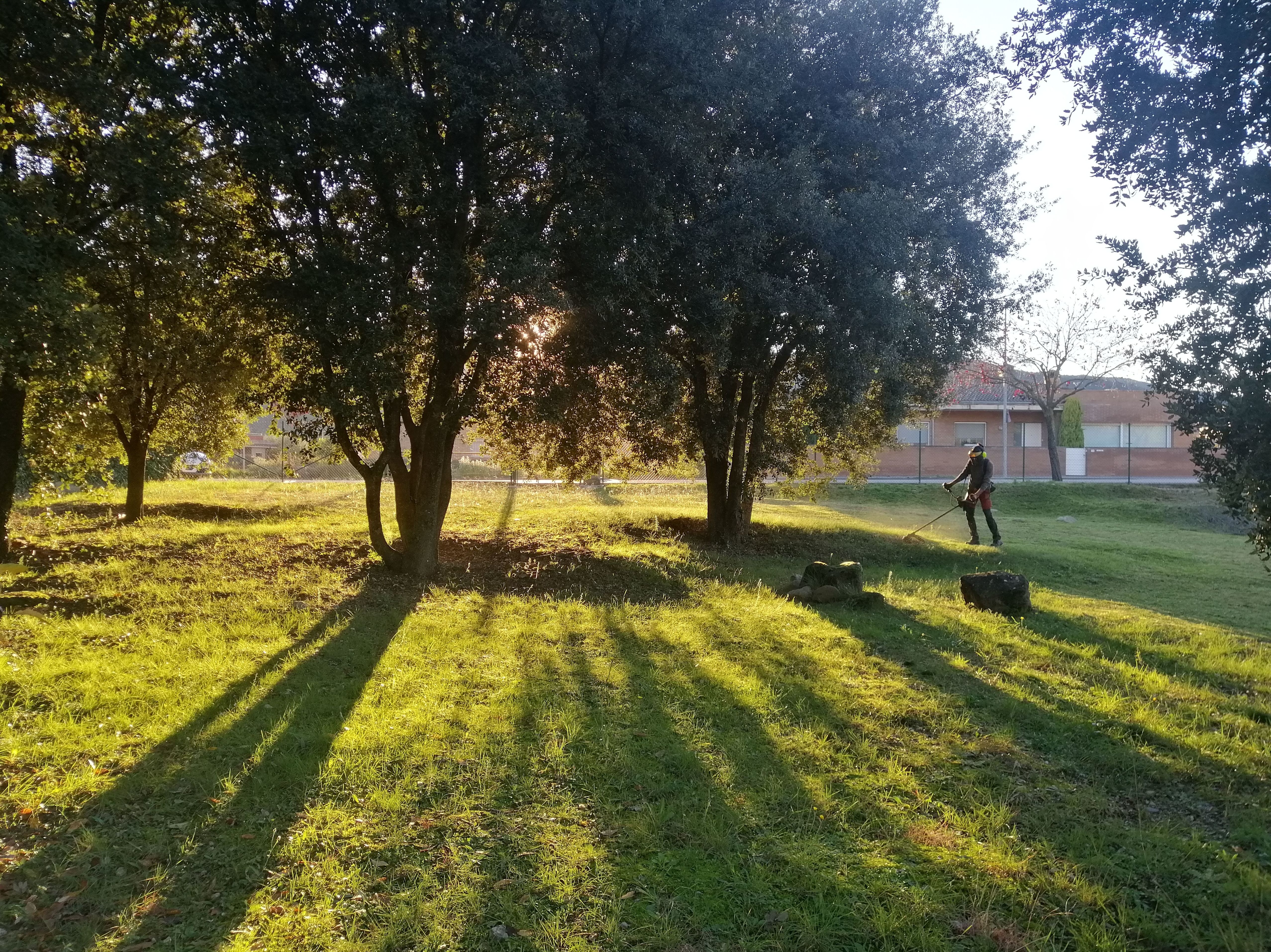 Limpiezas forestales: Servicios de Jardinería Garrotxa Limpiezas forestales: Servicios de Jardinería Garrotxa