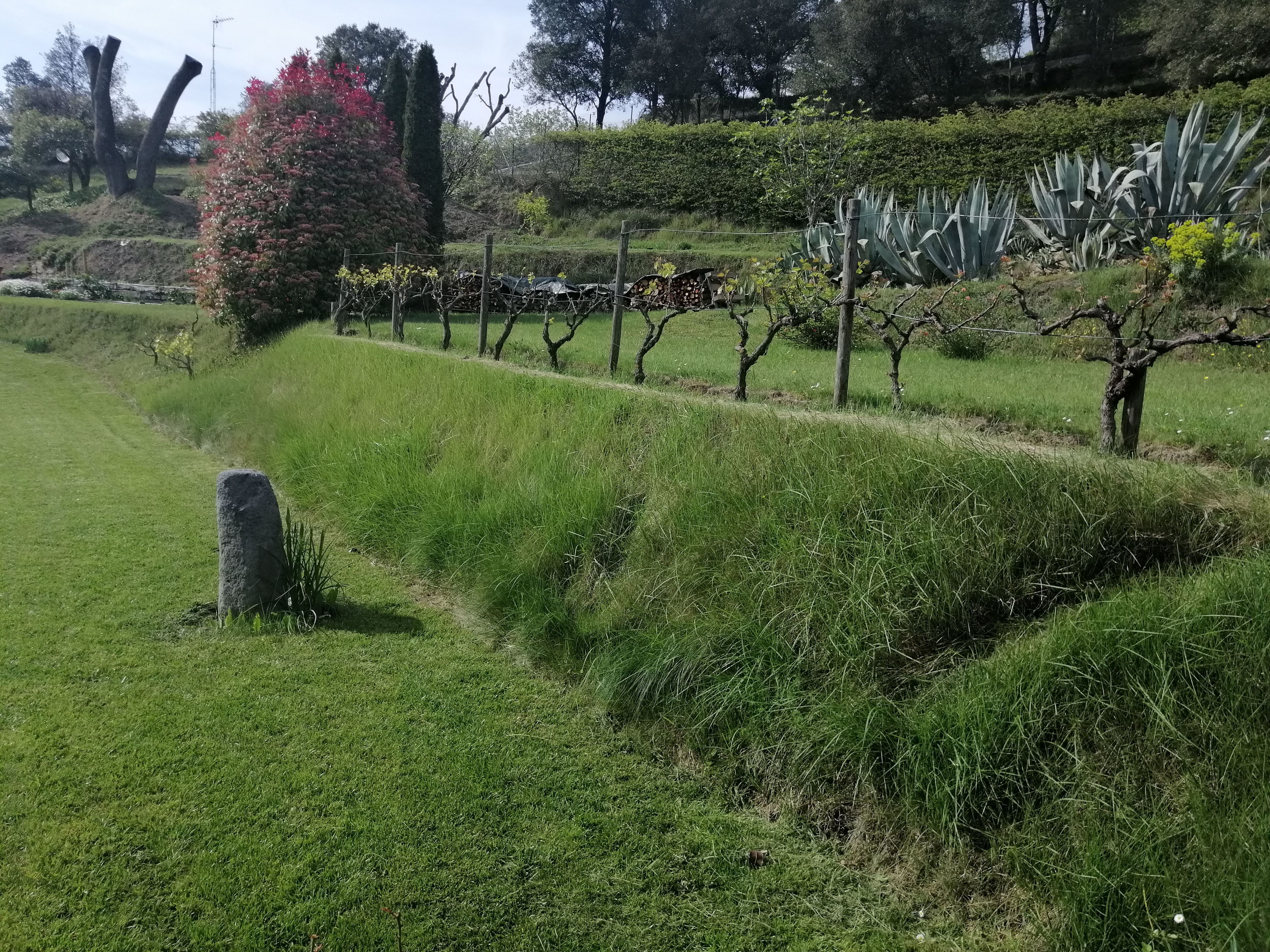 Mantenimiento de jardines: Servicios de Jardinería Garrotxa Mantenimiento de jardines: Servicios de Jardinería Garrotxa