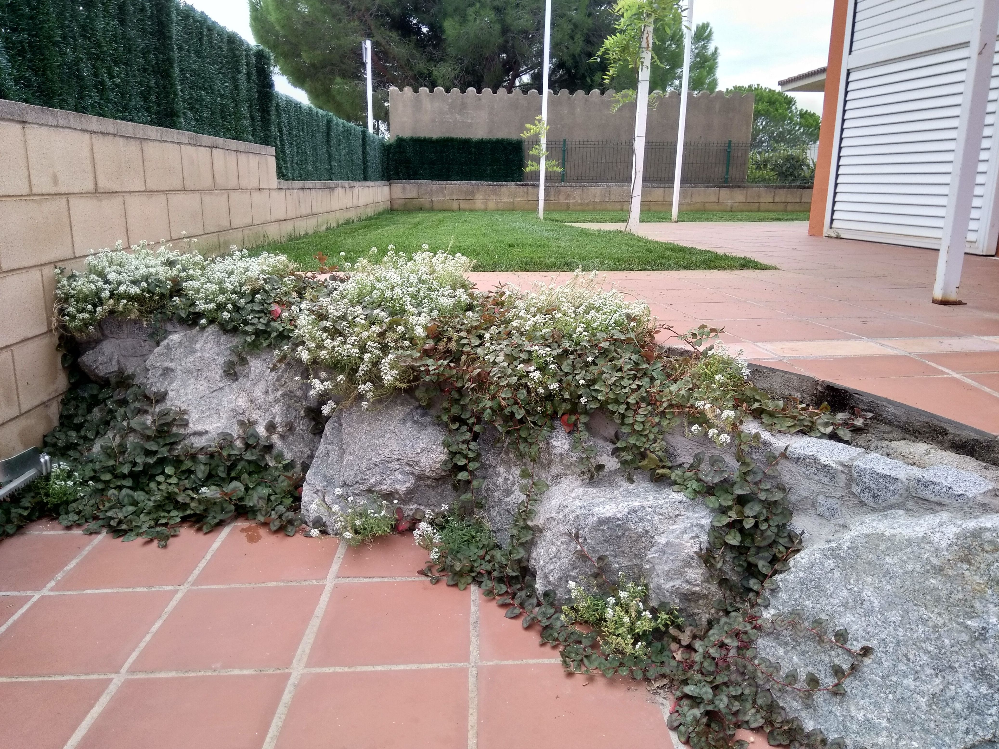 Diseño de jardines: Servicios de Jardinería Garrotxa Diseño de jardines: Servicios de Jardinería Garrotxa