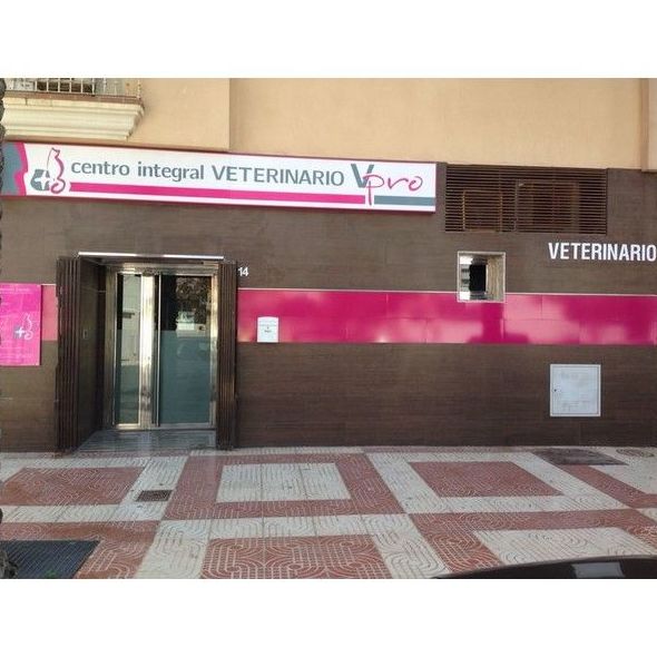 Nuestros valores: Servicios de Centro Integral Veterinario VPRO Nuestros valores: Servicios de Centro Integral Veterinario VPRO