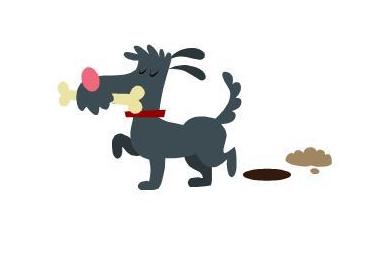 Cuidado de perros en CV Symay Cuidado de perros en CV Symay
