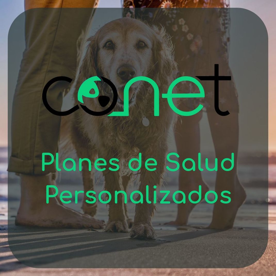 Plan de salud canina en Zaragoza Plan de salud canina en Zaragoza