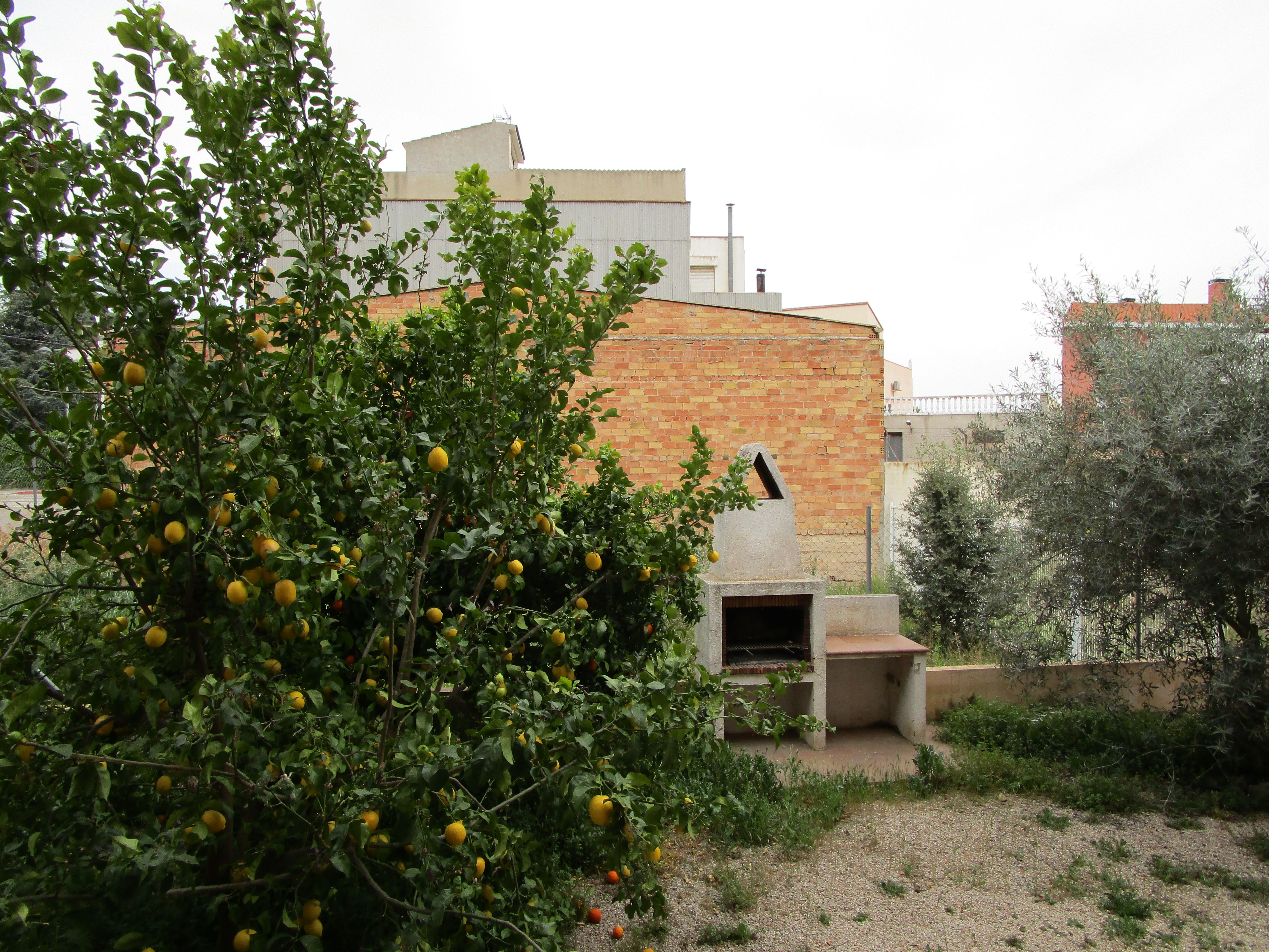 Calle Zaragoza en Banyeres del Penedes: Inmuebles en venta de Algamar Immobles Calle Zaragoza en Banyeres del Penedes: Inmuebles en venta de Algamar Immobles