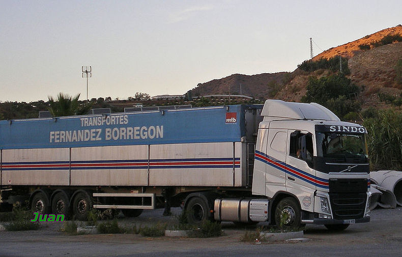 Camiones con motores ecológicos: Servicios de Transportes Fernández Borregón, S.A. Camiones con motores ecológicos: Servicios de Transportes Fernández Borregón, S.A.
