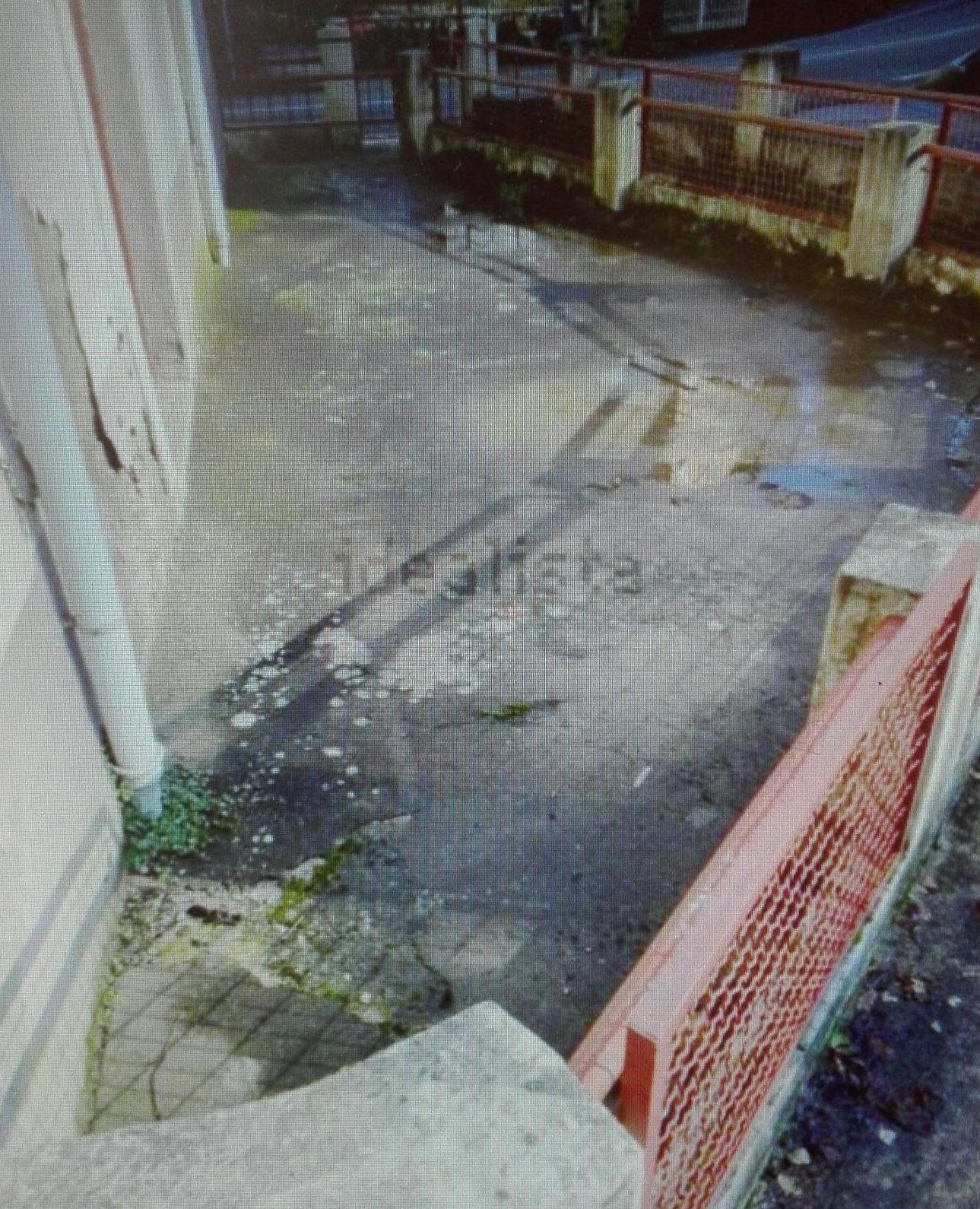 SUKARRIETA, ARANA GOIRI TAR SABINEN EMPARANTZA Nº 3 -PLANTA BAJA: Inmuebles de Inmobiliaria Lur Bermeo SUKARRIETA, ARANA GOIRI TAR SABINEN EMPARANTZA Nº 3 -PLANTA BAJA: Inmuebles de Inmobiliaria Lur Bermeo