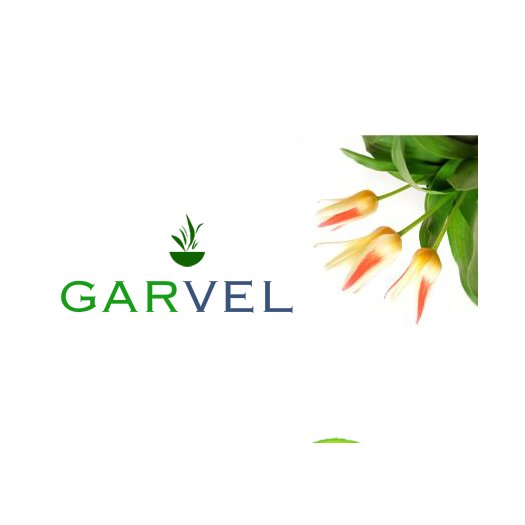 Clientes: Servicios de Pavimentos Garvel Clientes: Servicios de Pavimentos Garvel