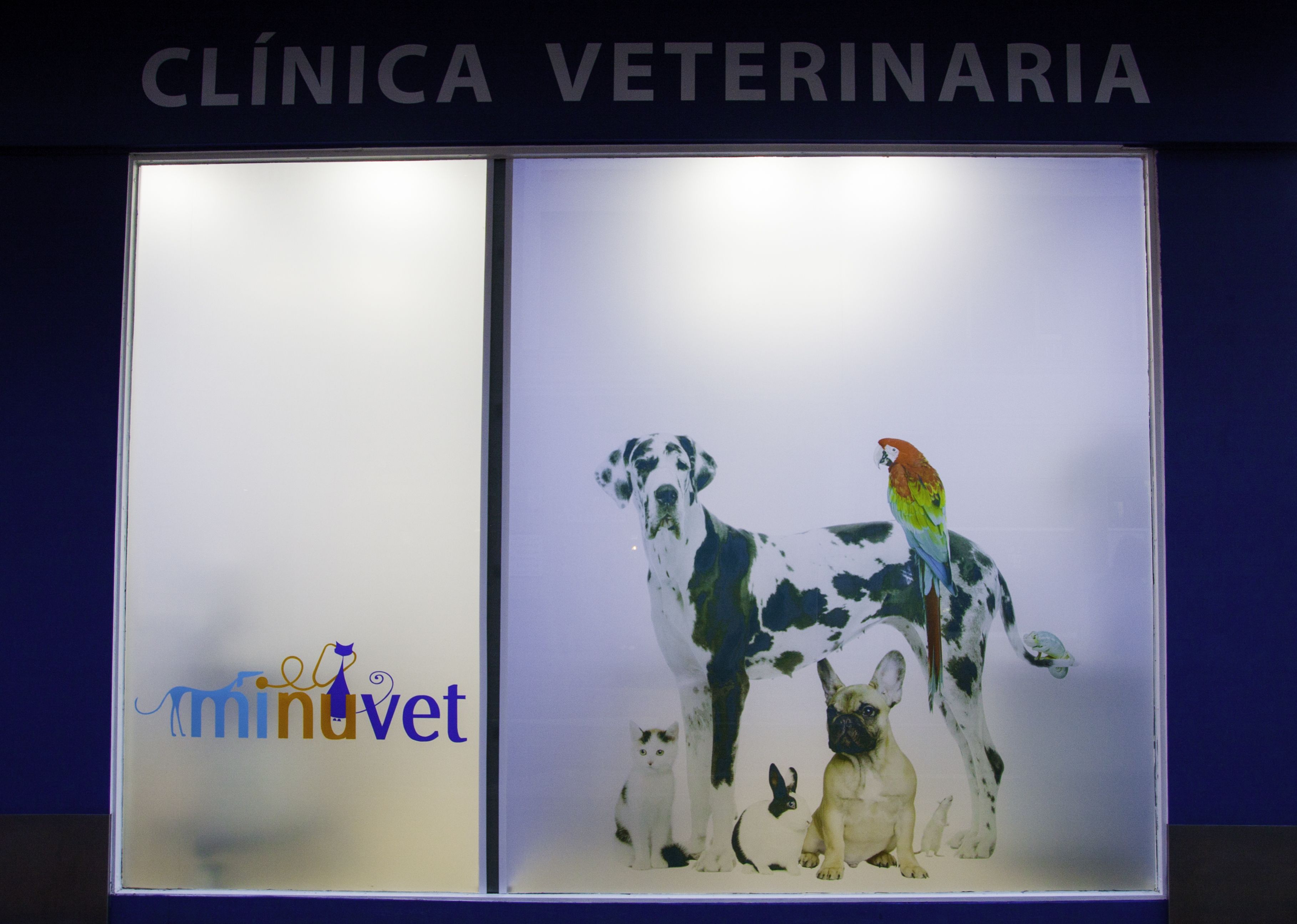 Foto 11 de Clínica veterinaria en León | Clínica Veterinaria Minuvet León-Urgencias 24h 
