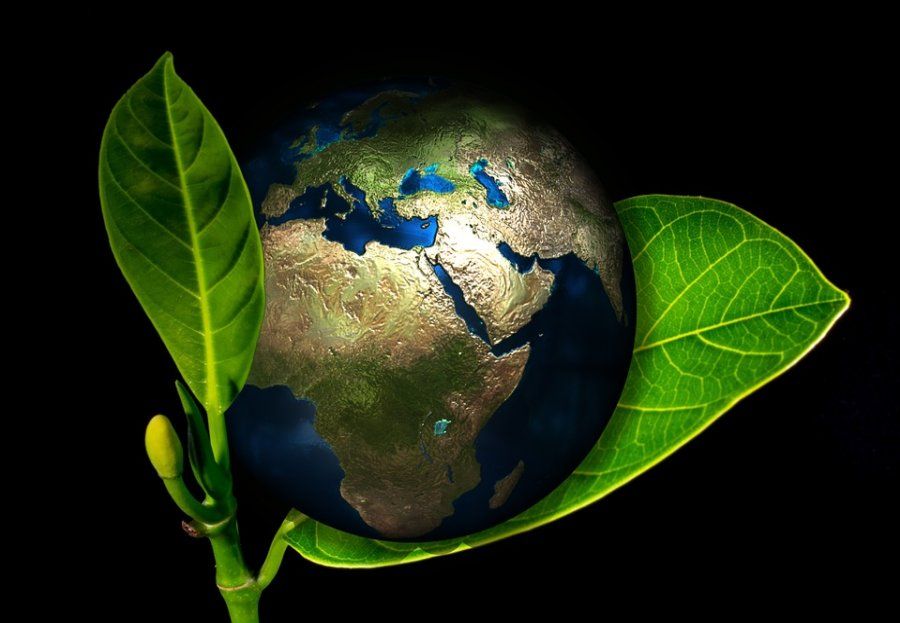 Medio Ambiente Medio Ambiente